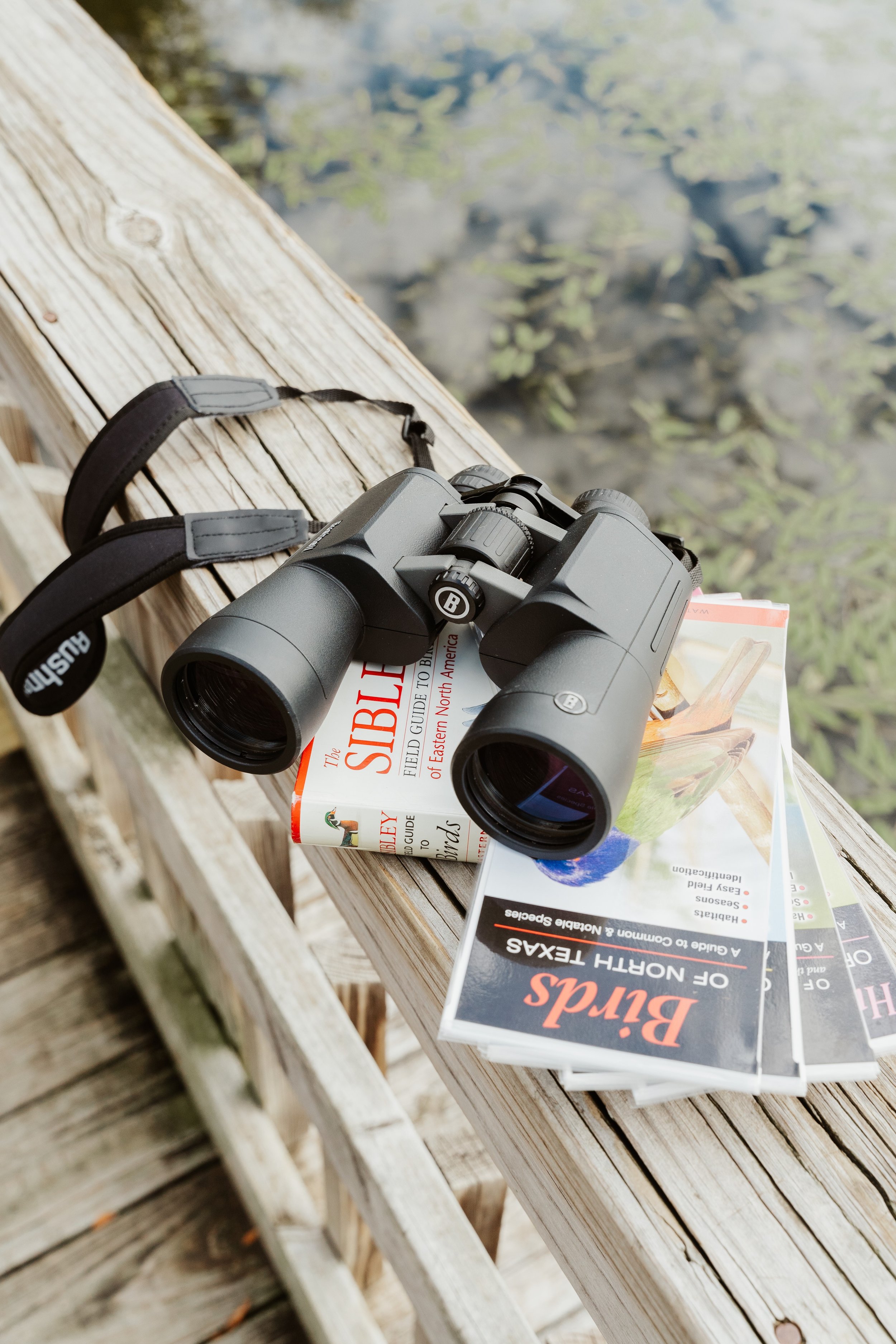 Cedar Hill State Park Is an Urban Escape