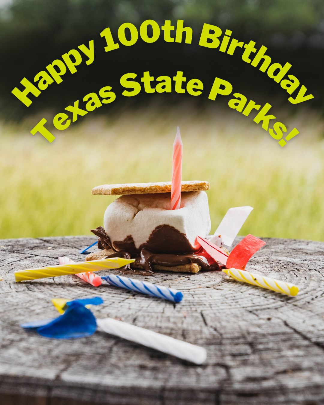 Happy 100th Birthday (1).png