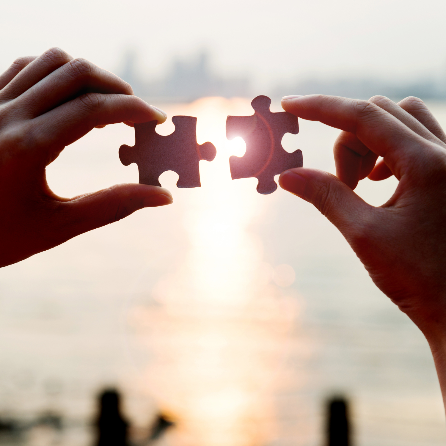 Two hands holding puzzle pieces near a sunset over a body of water