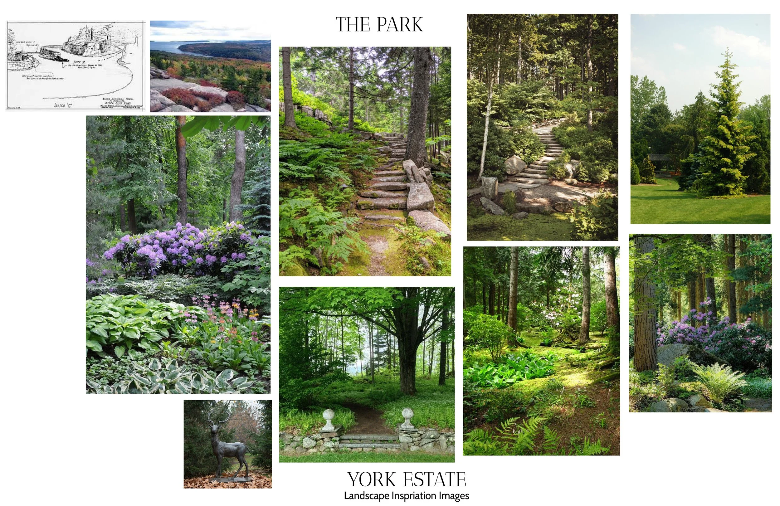 2026-02-10 Chase 10 Baldwin Landscape Images Park.jpg