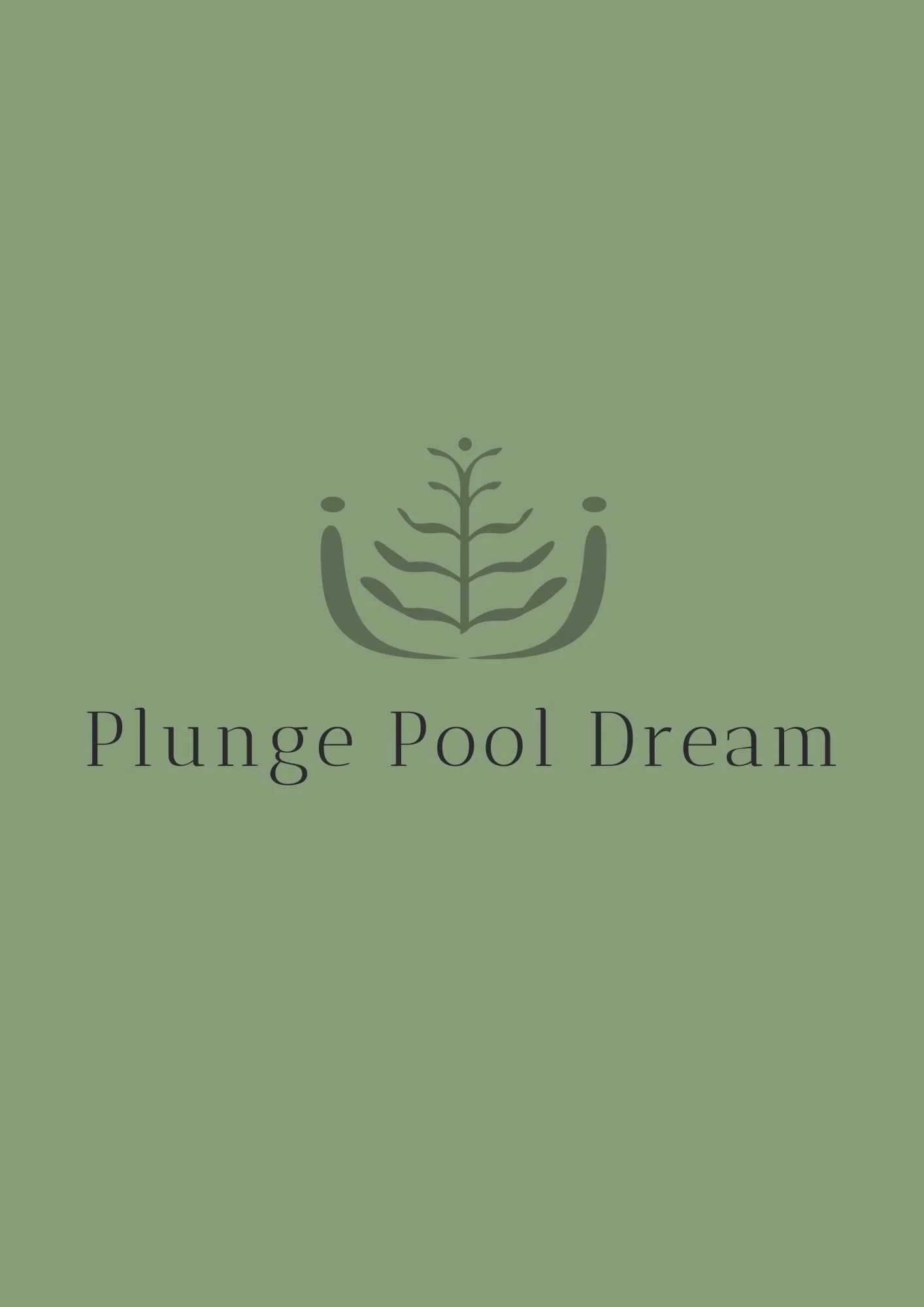 Plunge Pool Dream