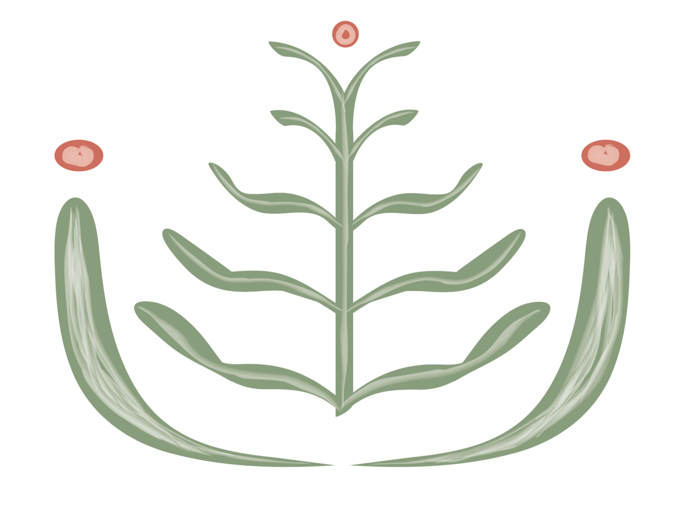 Illustration of a plant with green leaves and pink buds, sheltered by a pair of large, curved leaves or hands.