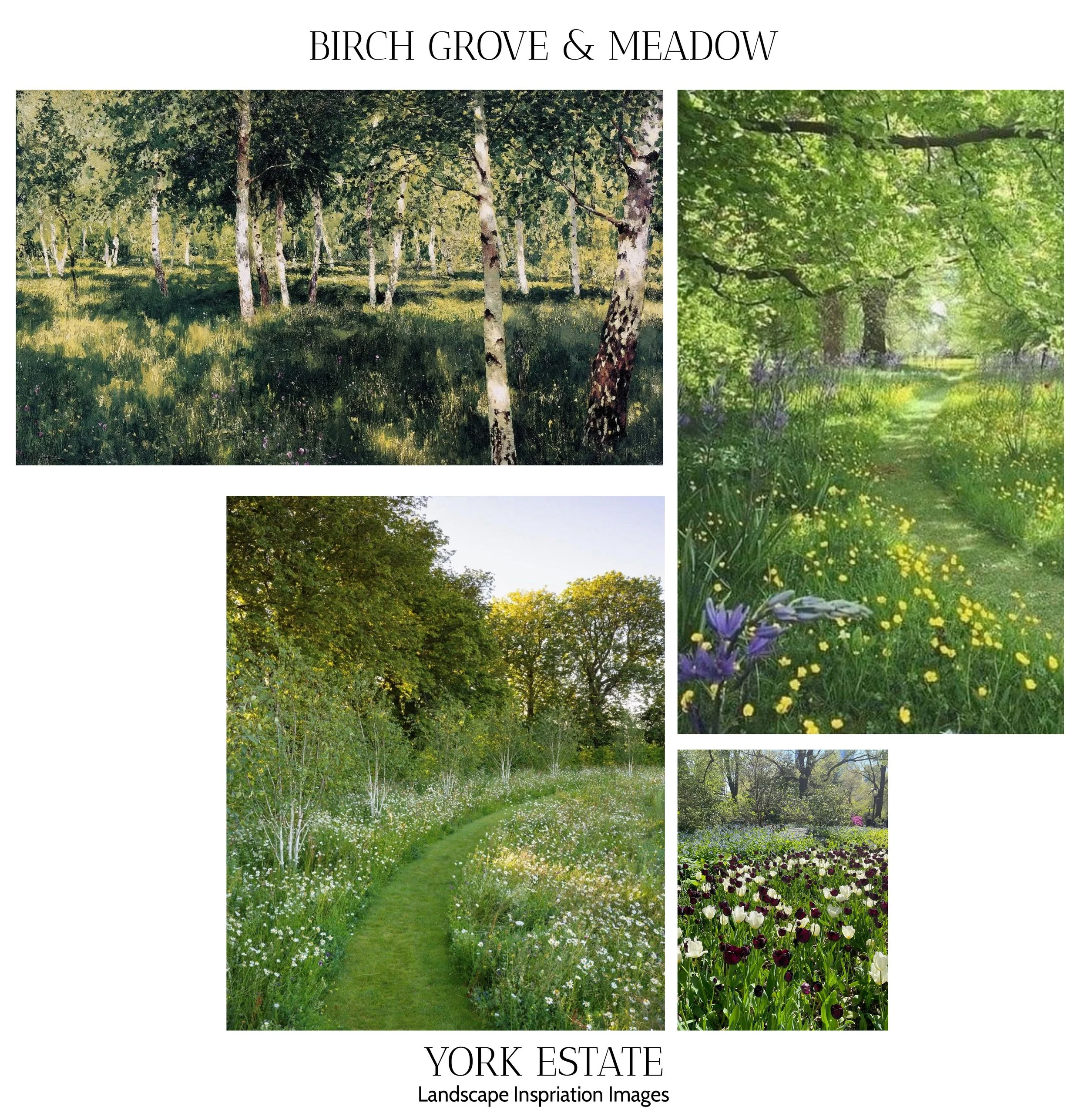 2026-02-10 Chase 10 Baldwin Landscape Images Meadow.jpg