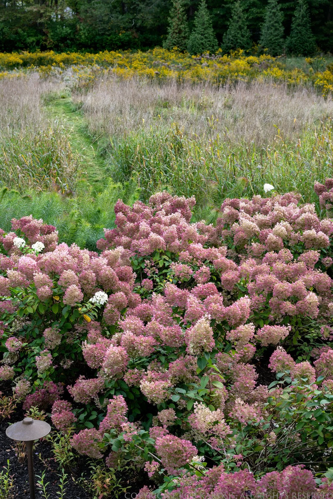 Meadow Residence features expansive meadowland, a beautifully integrated hardscape design, and a charming children’s playhouse. Thoughtfully crafted by Sea Laurel Landscape Architecture, this project blends natural New England beauty with functional,
