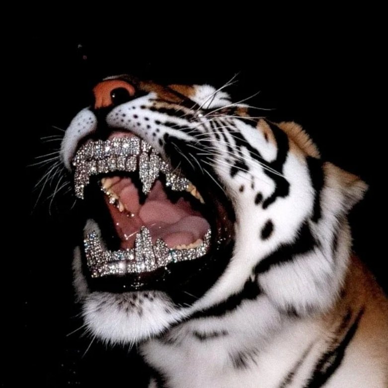 Close-up of a tiger with a diamond-encrusted grill, showing its sharp teeth and open mouth against a dark background. Corey La Rue
