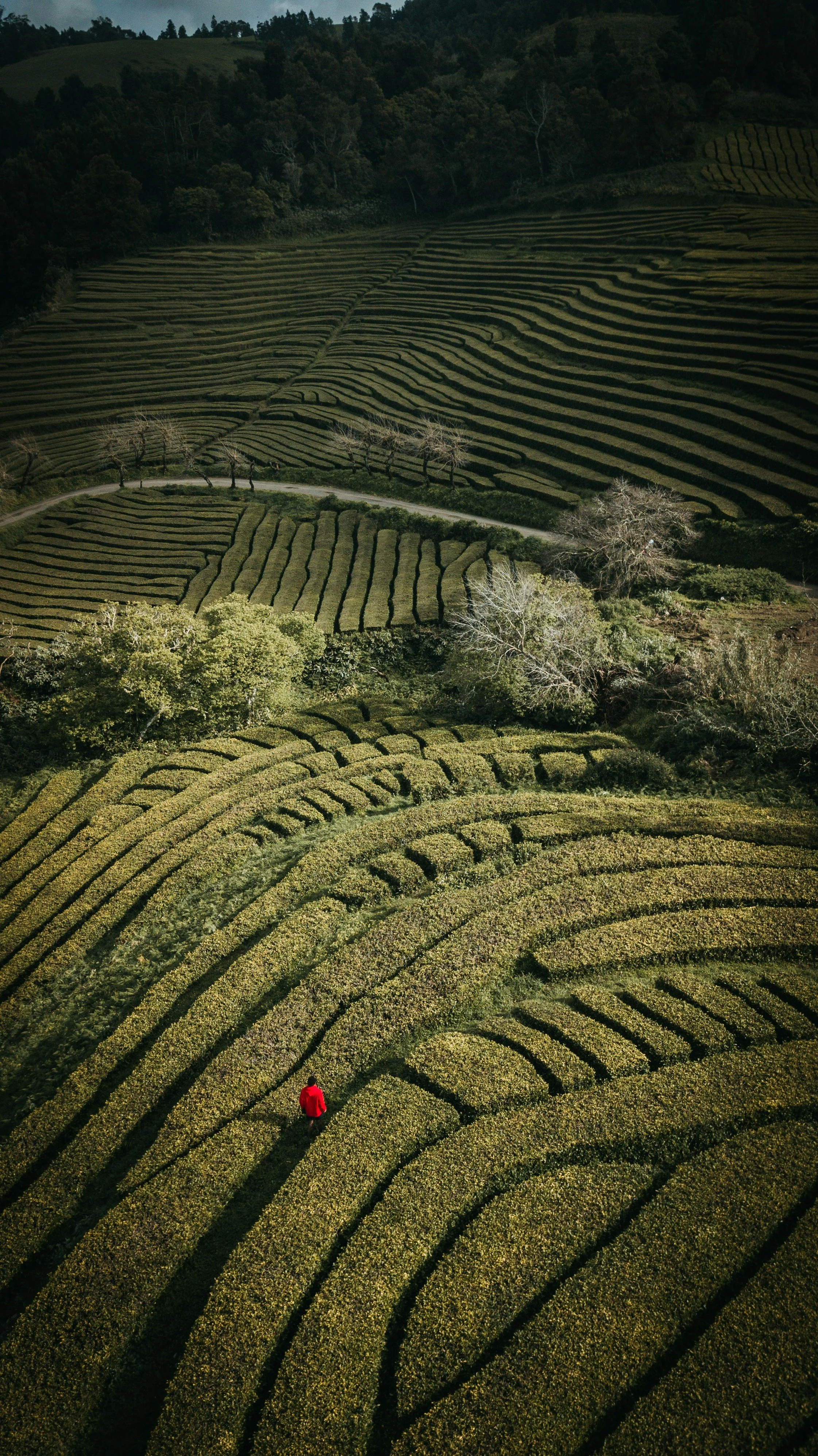 Reporting Sexual Assault: Why It’s a Complex Decision