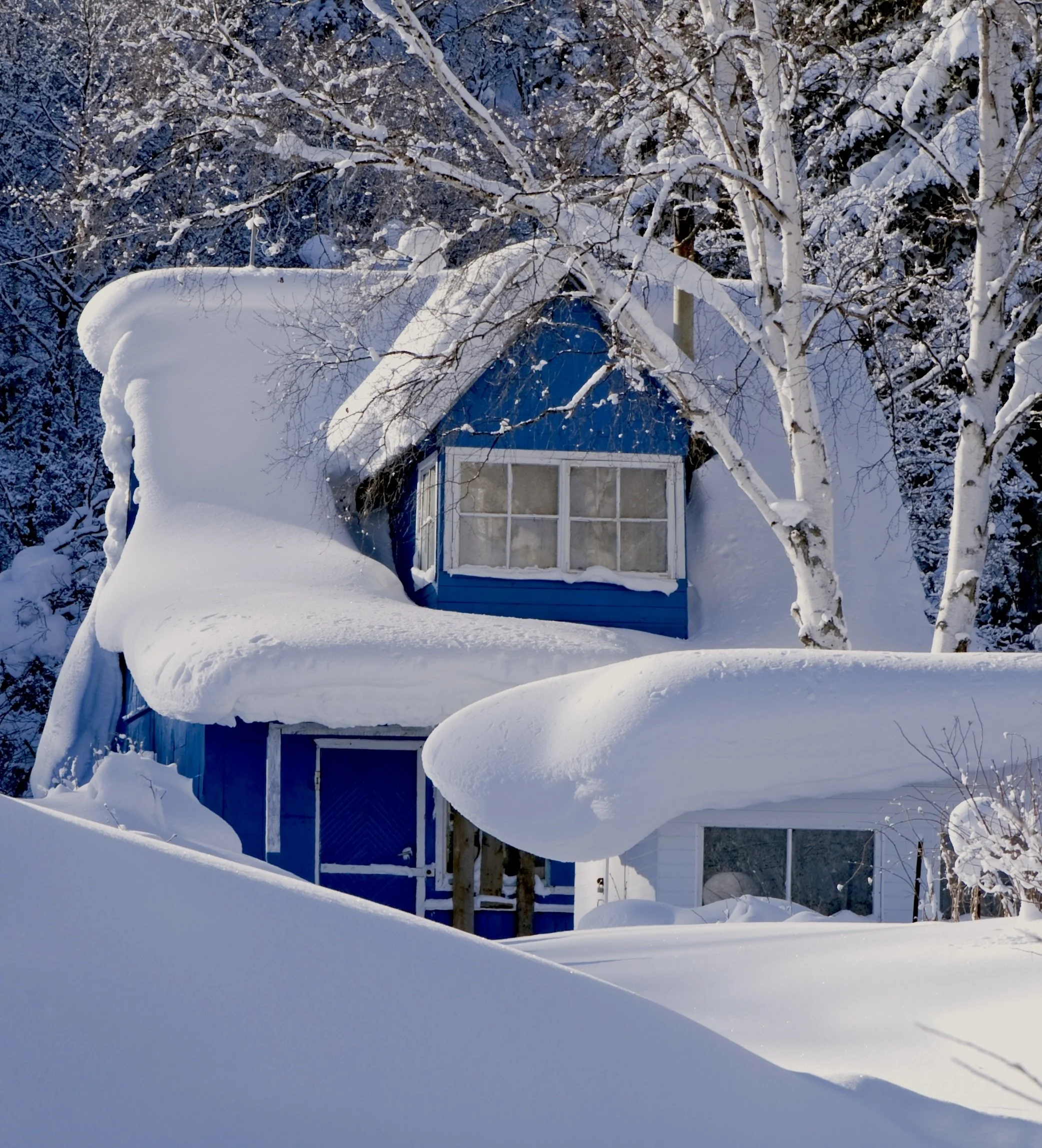 A blue house covered in thick snow with snow-laden trees surrounding it, under a clear sky.