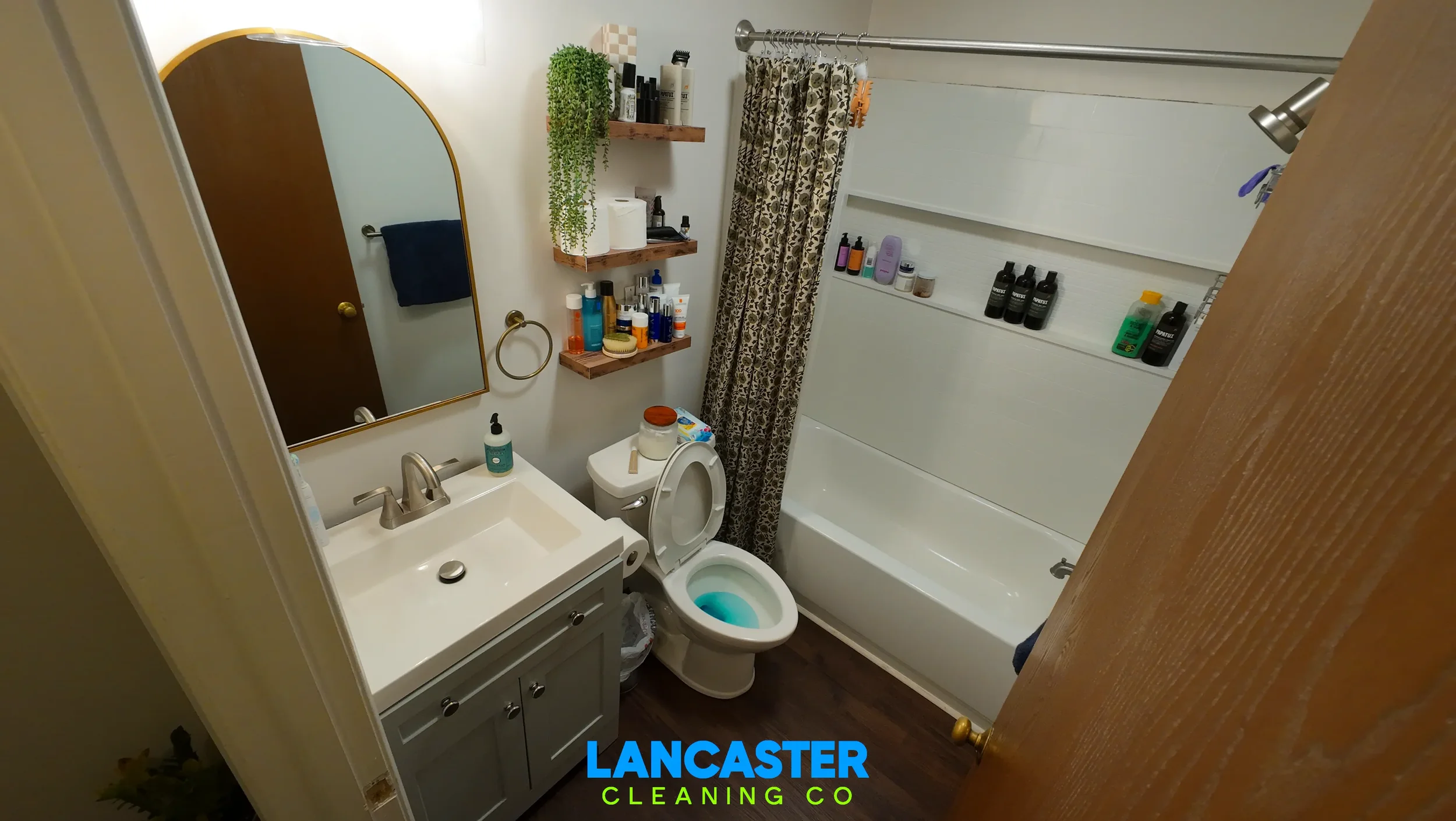 Bathroom Cleaning.WebP