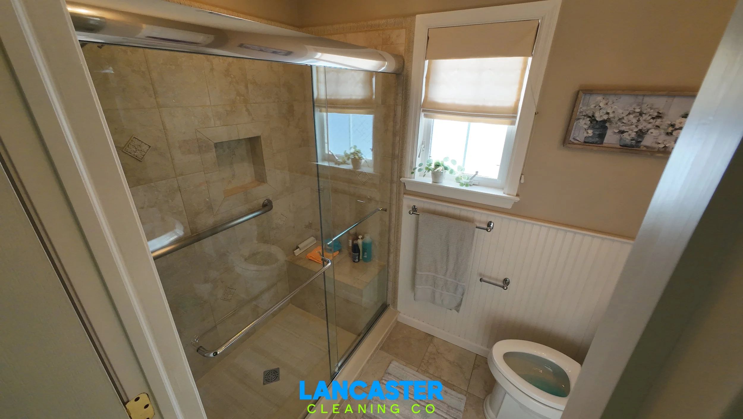 Glass Shower Cleaning.JPG