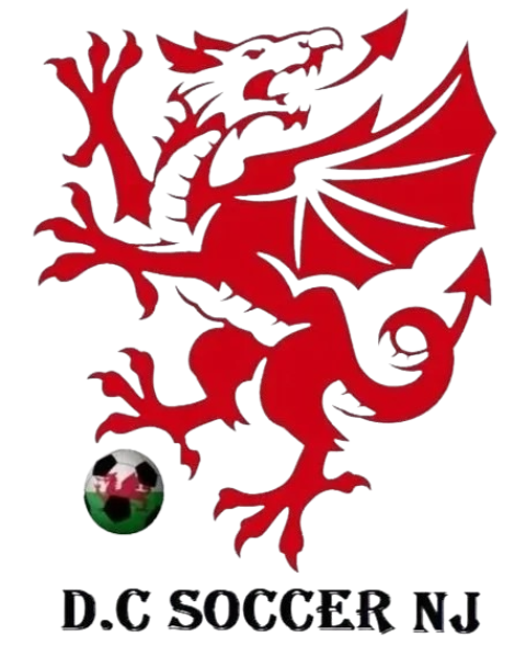Red dragon with wings, claws, and tail, positioned above a soccer ball with a green, black, white, and pink pattern. Text reads "D.C. Souder N.L." underneath.