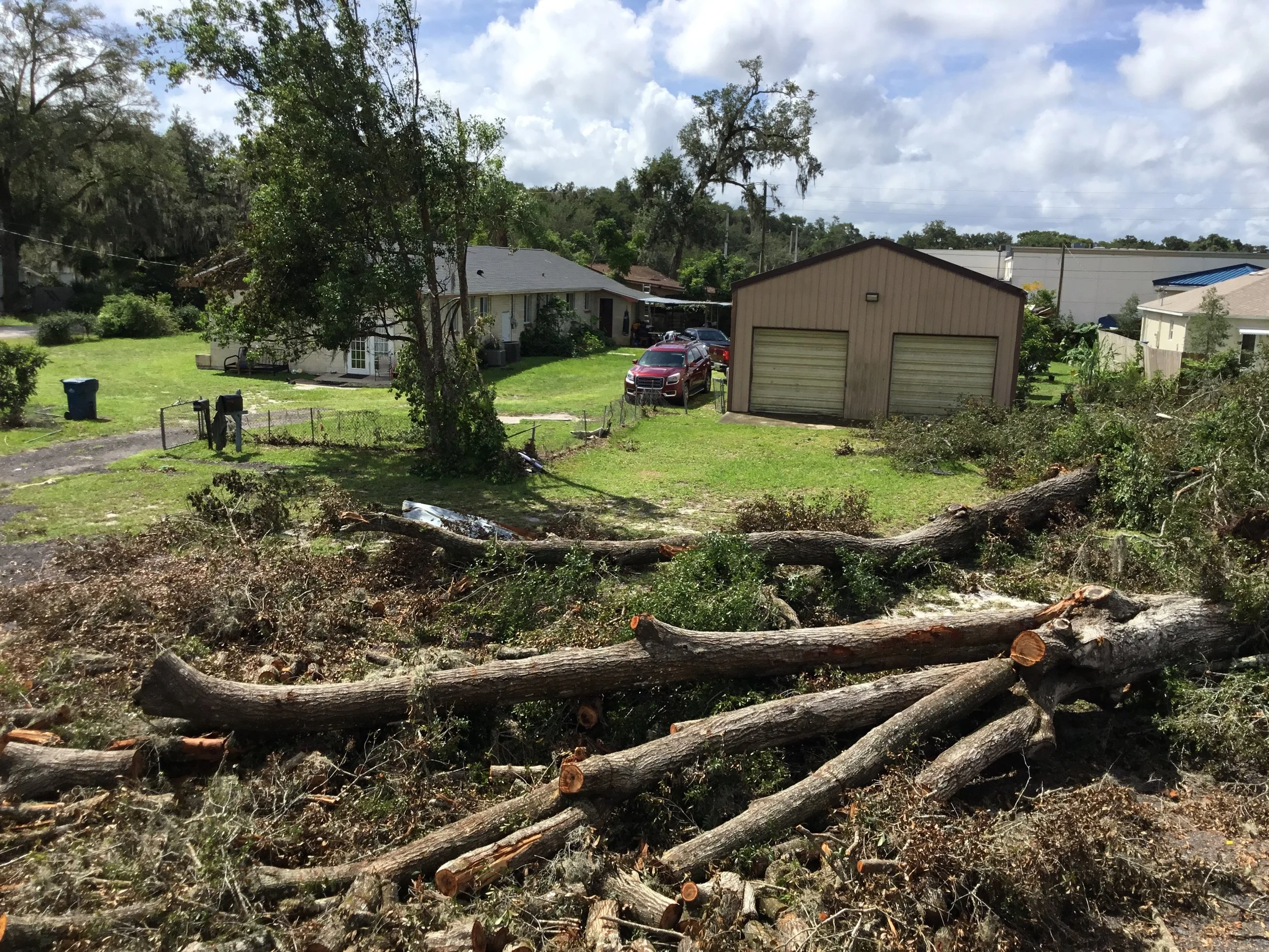 Large trees uprooted and snapped by a tornado in DeLand, illustrating the sheer force of the storm that also damaged nearby roofs and structures. Downed timber like this often creates secondary roof damage from impact, debris, and prolonged exposure 