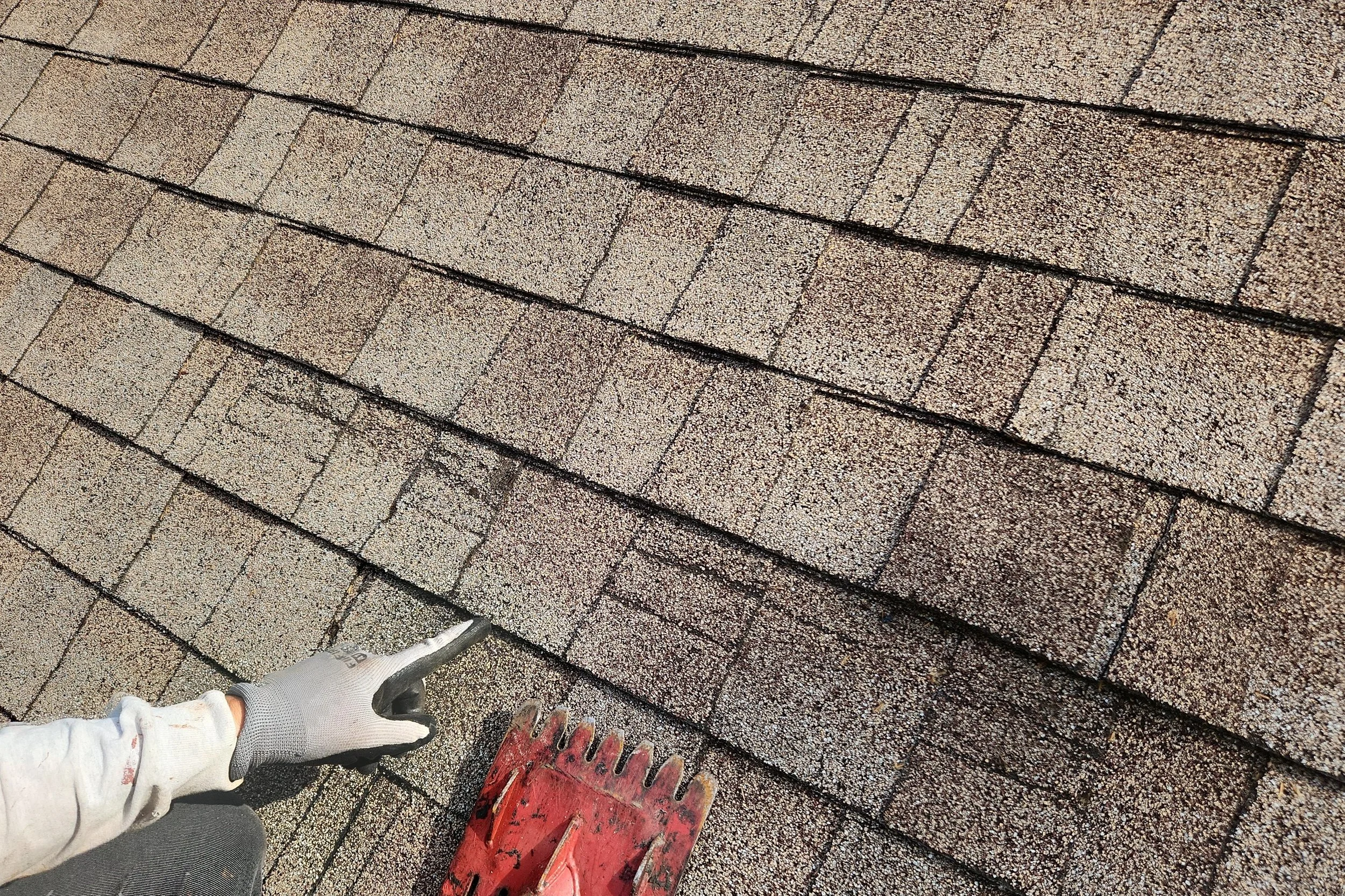 Why Insurance Companies Are Dropping Homeowners — and What You Can Do About It