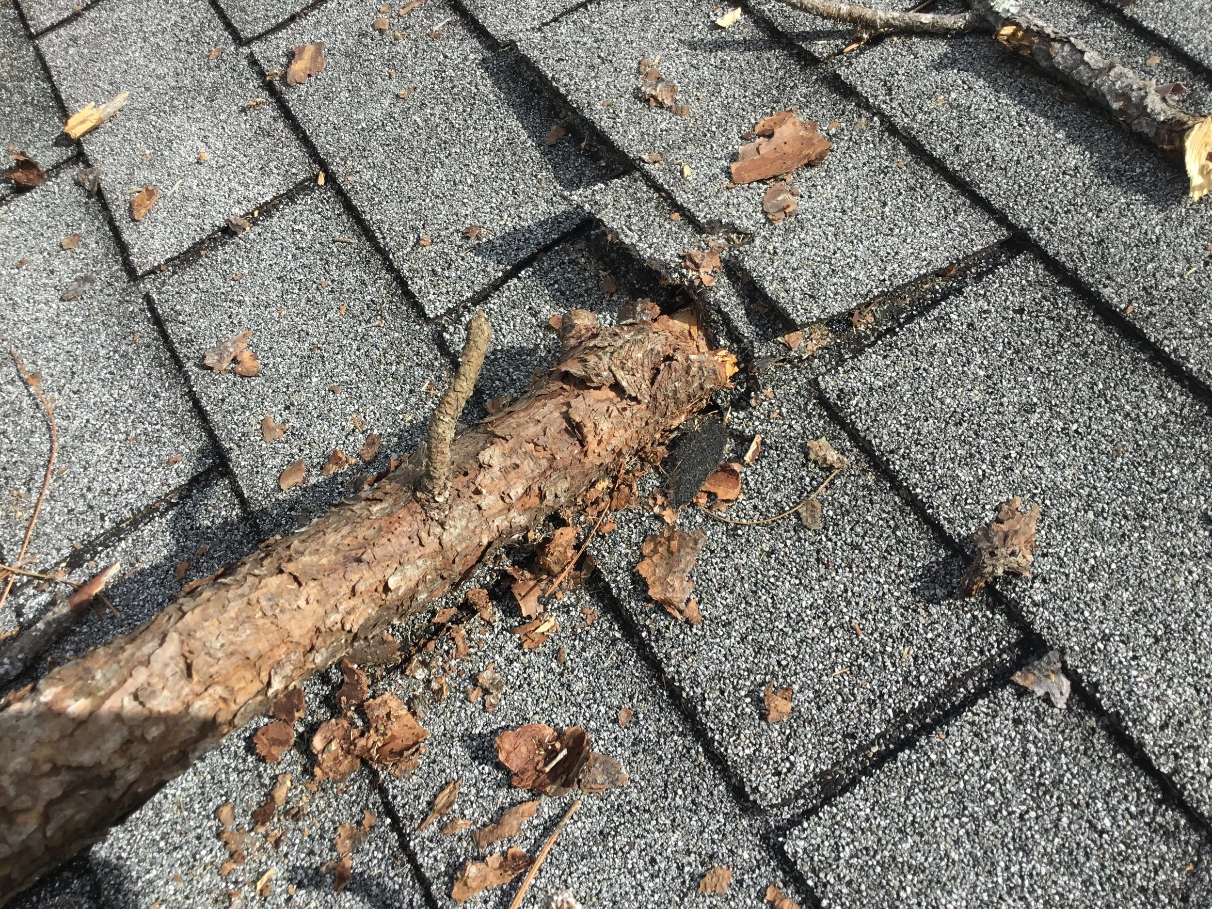 Storm Preparation and Roof Maintenance: A Calm, Practical Homeowner Guide