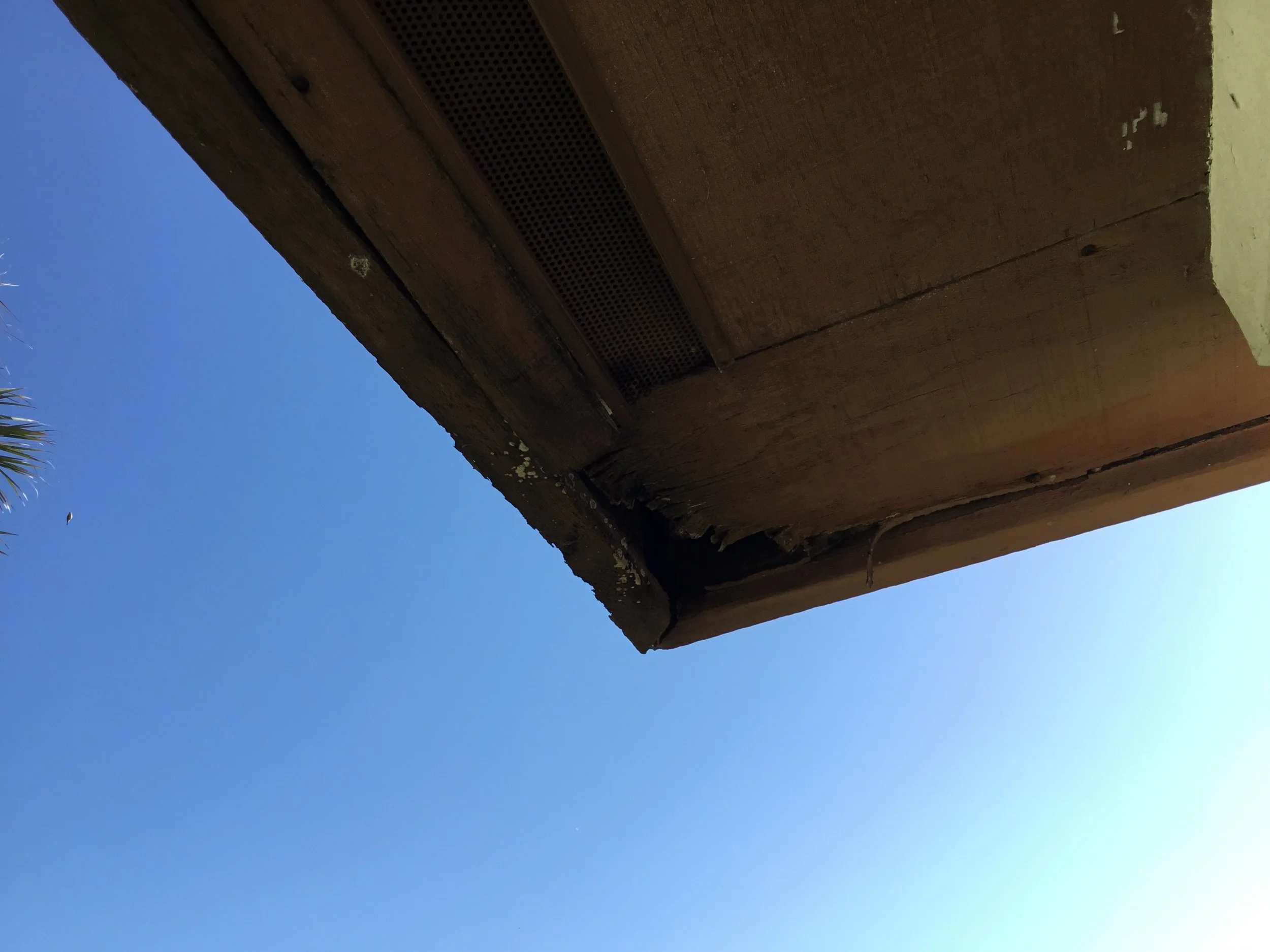 Rotted cedar fascia caused by long-term roof leakage, where hidden water intrusion gradually deteriorated the wood from the inside out. Once moisture reaches cedar, decay spreads quickly — often before homeowners notice a problem from the ground. Thi