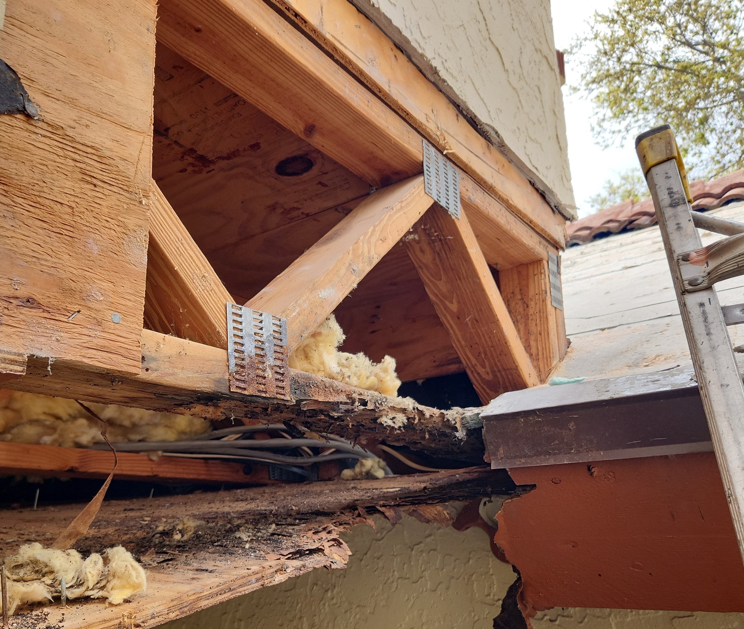 Severe wood rot along the roof edge where long-term leakage infiltrated fascia and rafter tails, deteriorating structural members from the outside in. Damage like this often begins with small flashing failures but spreads quickly once moisture become