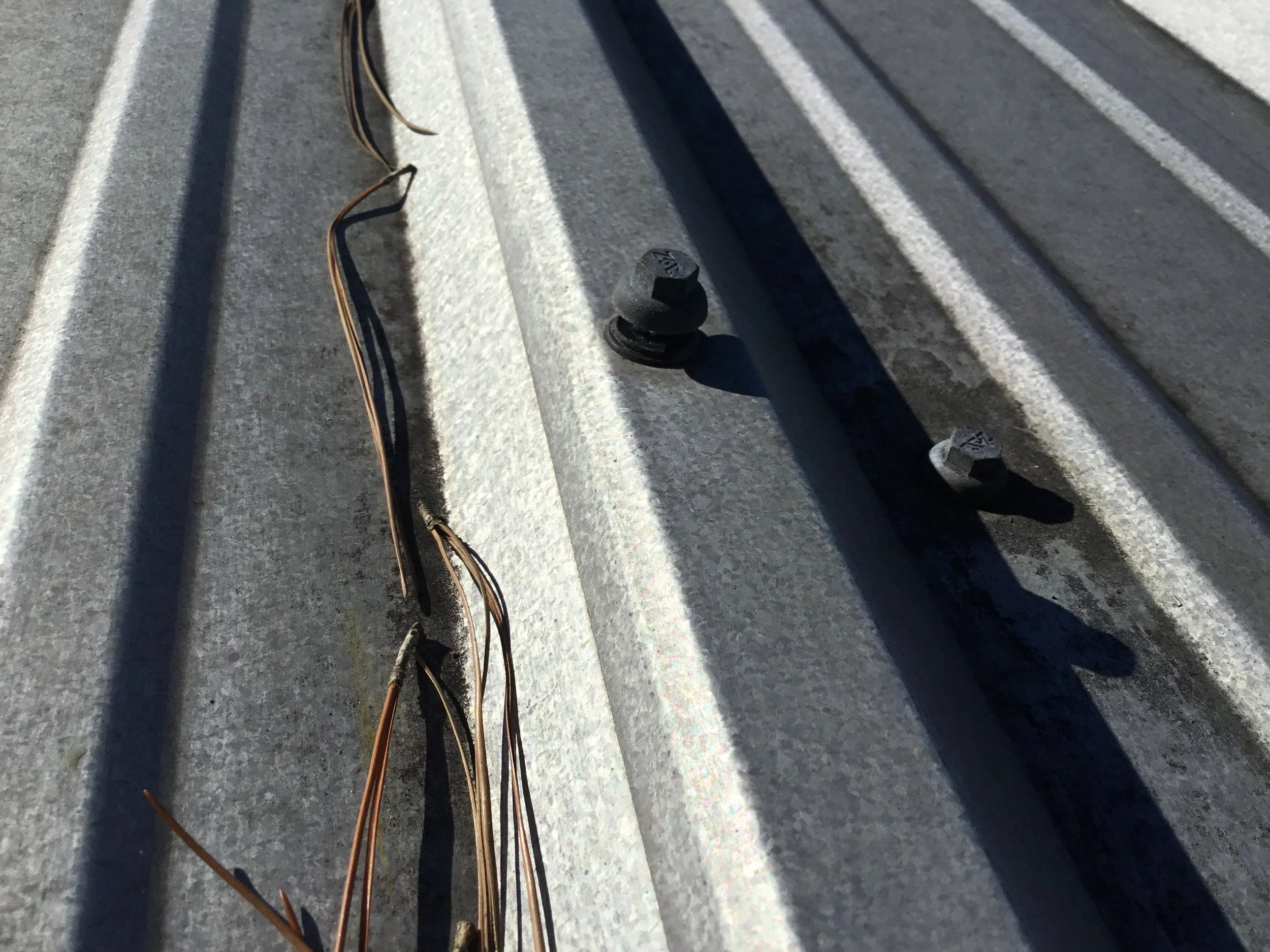 Metal roof panel showing screws that have backed out over time — a common issue as panels expand and contract in Florida’s heat. When fasteners loosen, water can track down the screw holes and cause leaks, which is why proper re-fastening, sealing, a