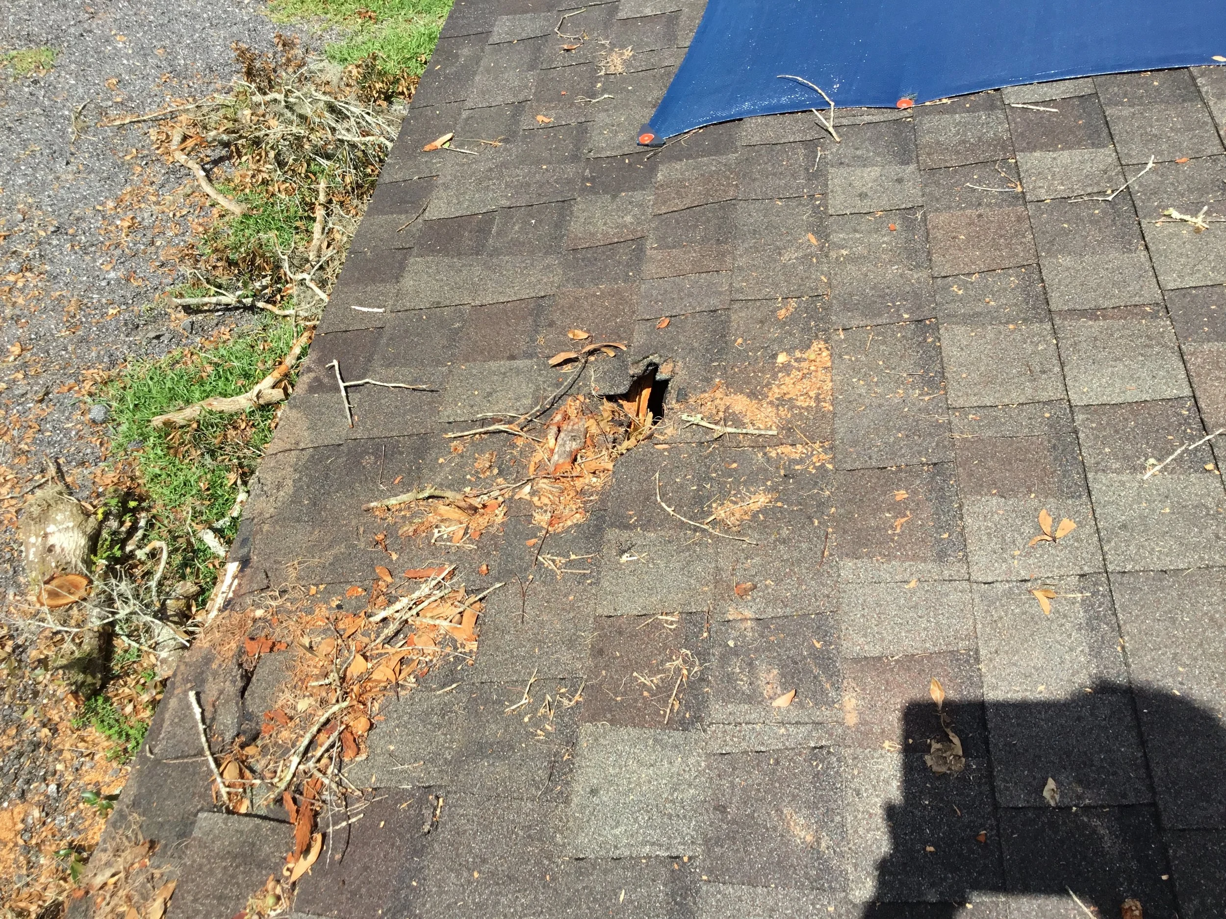 Impact damage on an asphalt shingle roof where a falling tree branch punched through the surface, tearing shingles and exposing the layers beneath. Even a small hole like this can allow rapid water intrusion into decking and framing — which is why im