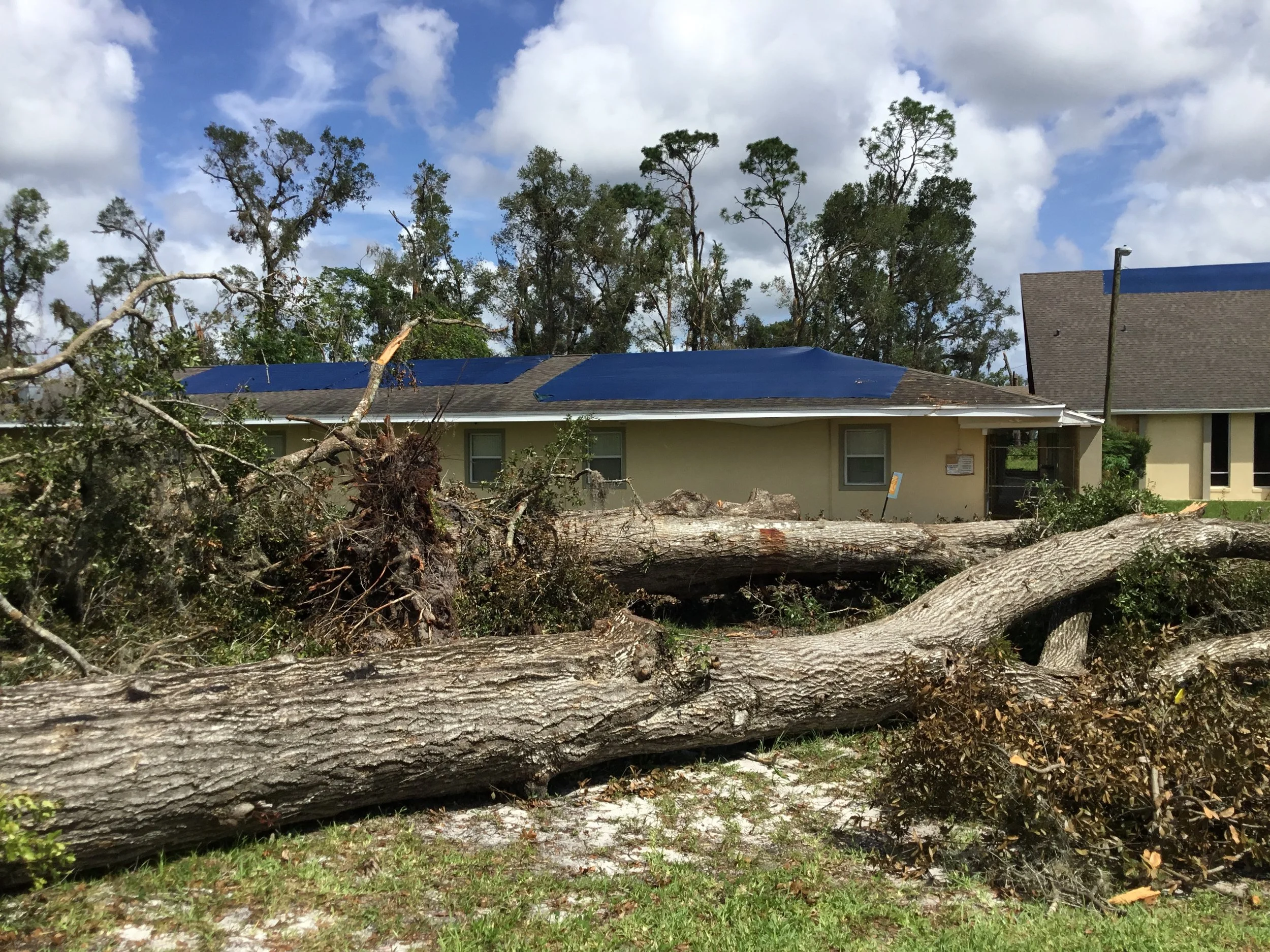 Tornado-damaged asphalt shingle roof where extreme winds ripped shingles from multiple planes and scattered debris across the property. Damage of this scale requires full tear-off and rebuild with stronger fastening patterns, modern underlayment, and