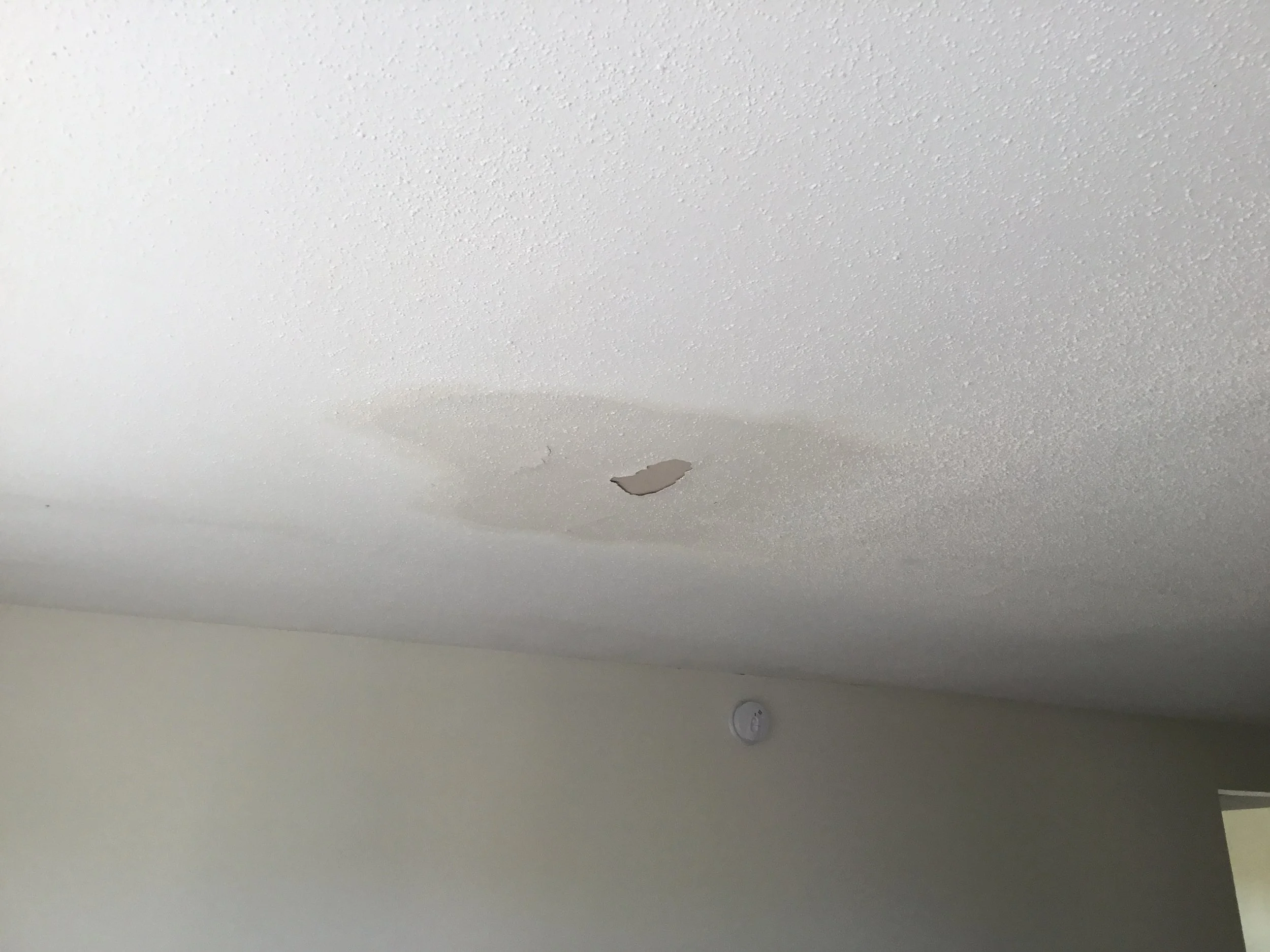Interior ceiling water stain caused by a roof leak, showing how even a small failure above can quietly create visible damage inside a home. Discoloration like this often appears long before structural issues are noticed, which is why Skyline Detailed