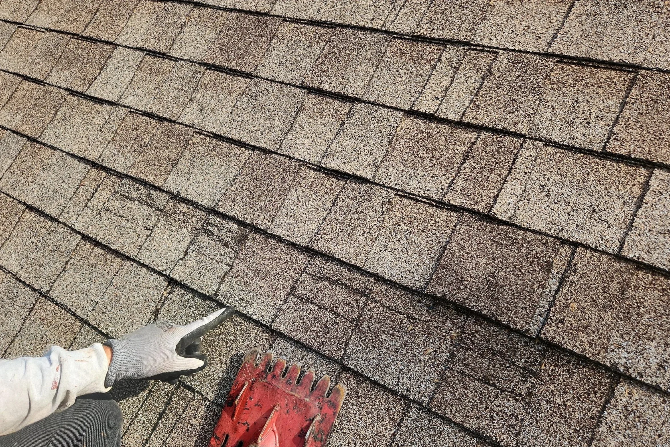 Shingle Roof in Palm Coast Florida showing damages of wear-and-tear and wind damages