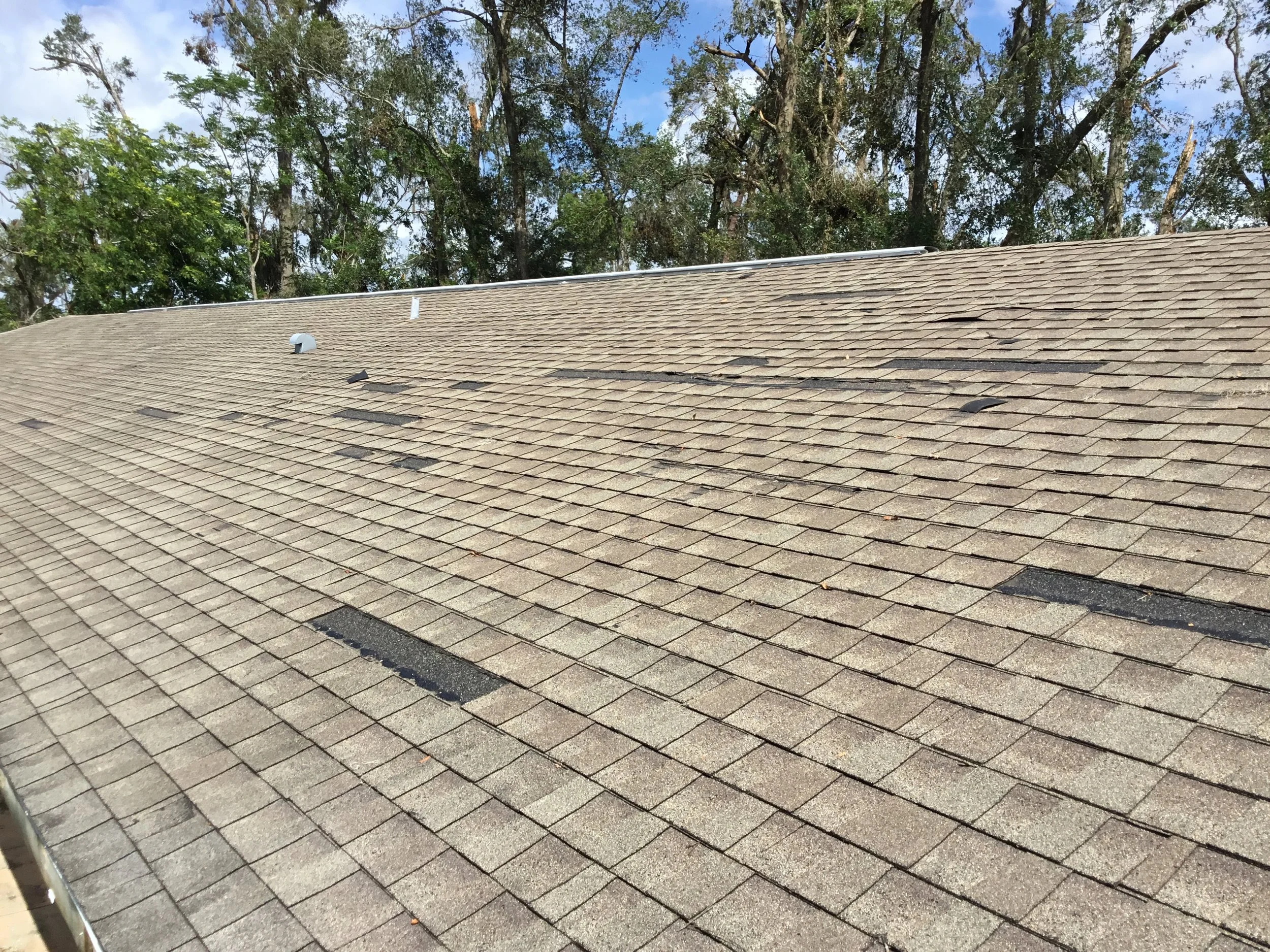 Aging asphalt shingle roof showing clear post-storm damage, including lifted, creased, and missing shingles along exposed areas. Wind-related failure like this leaves underlayment and decking vulnerable to water intrusion, making prompt repair or rep