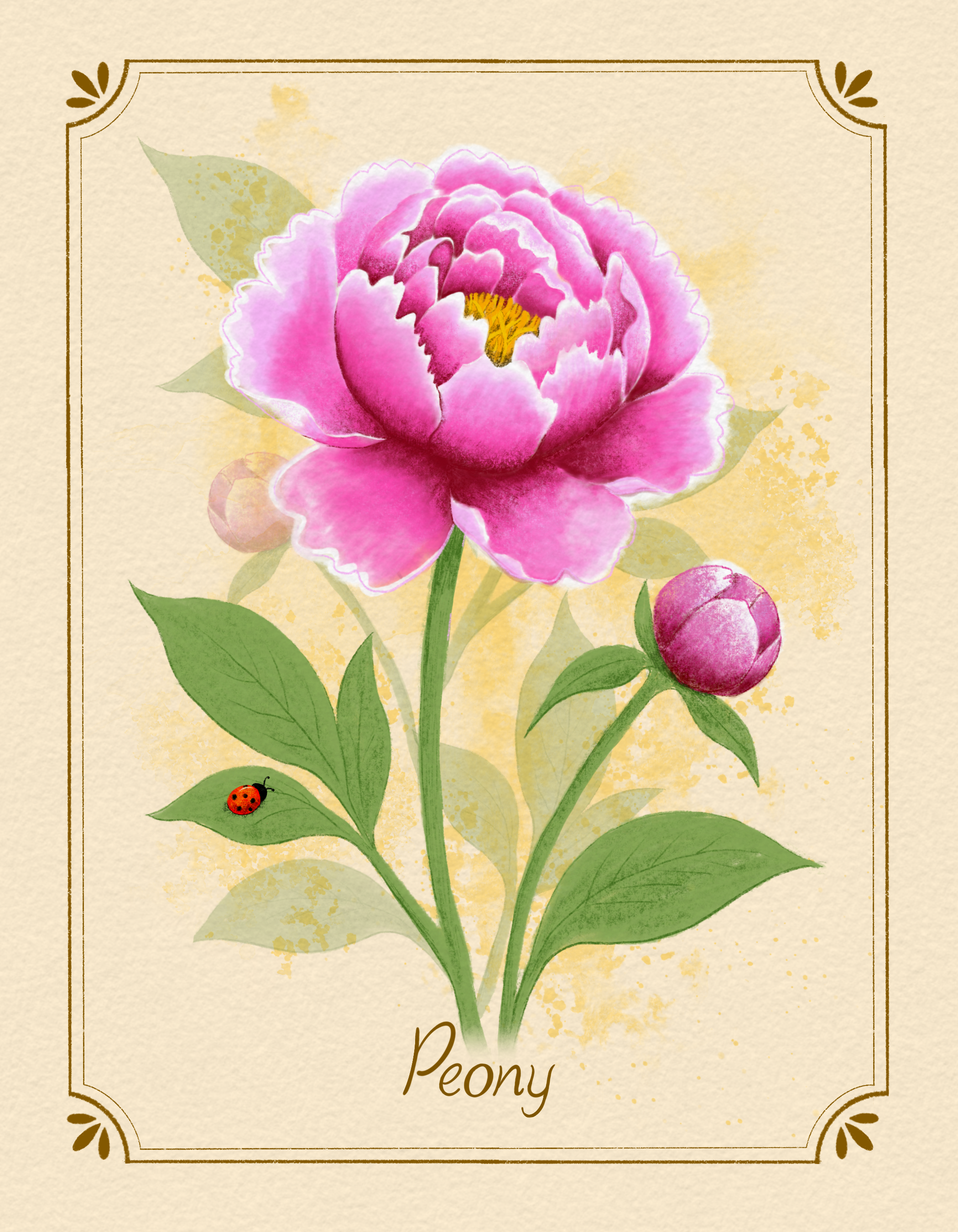 Peony copy.png