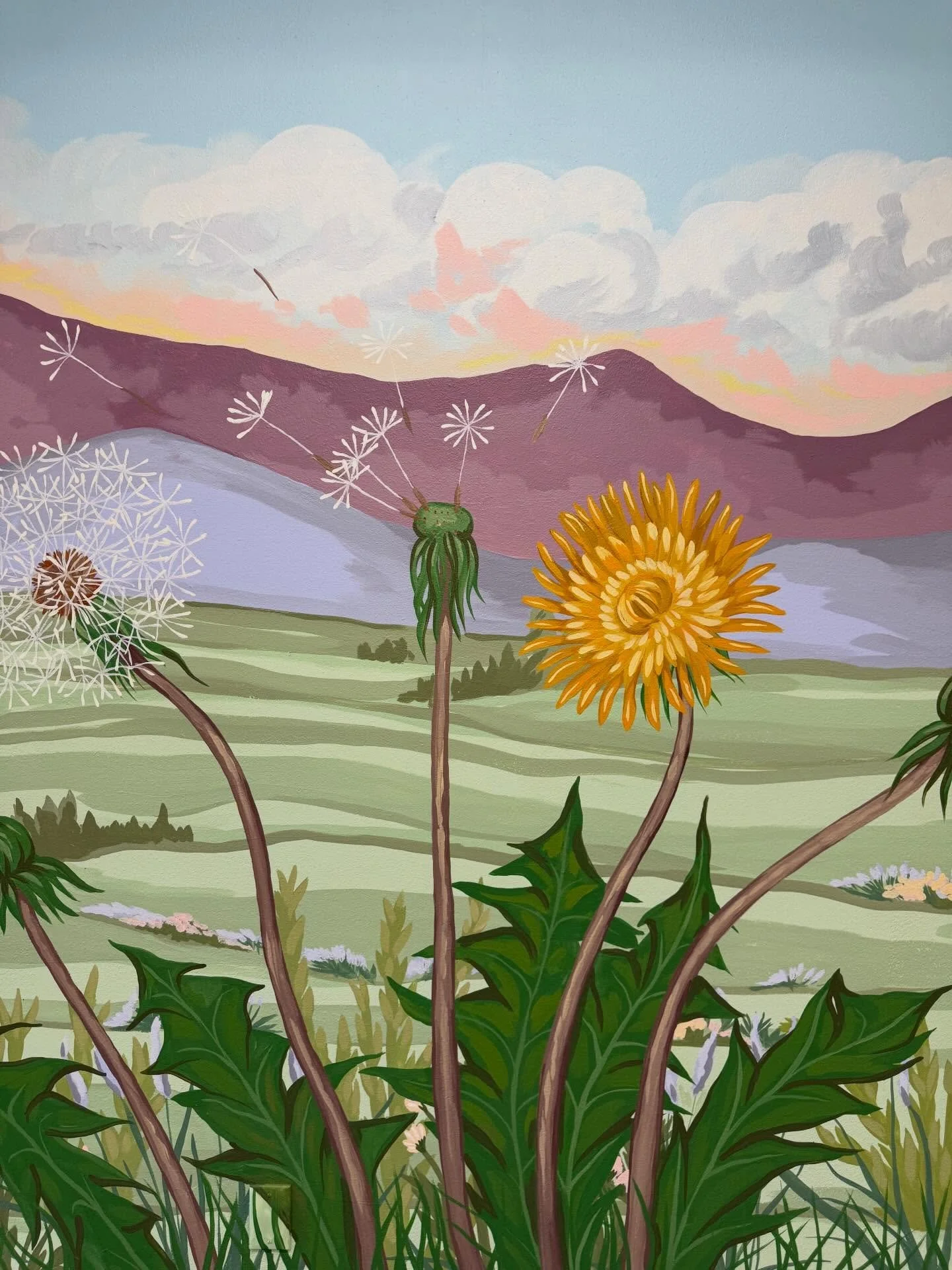 Big dandelion mural for @growkidstherapy! Thank you so much for the opportunity to do my biggest mural project to date and congratulations on the new space! 

#muralartist #oregonartist #painting