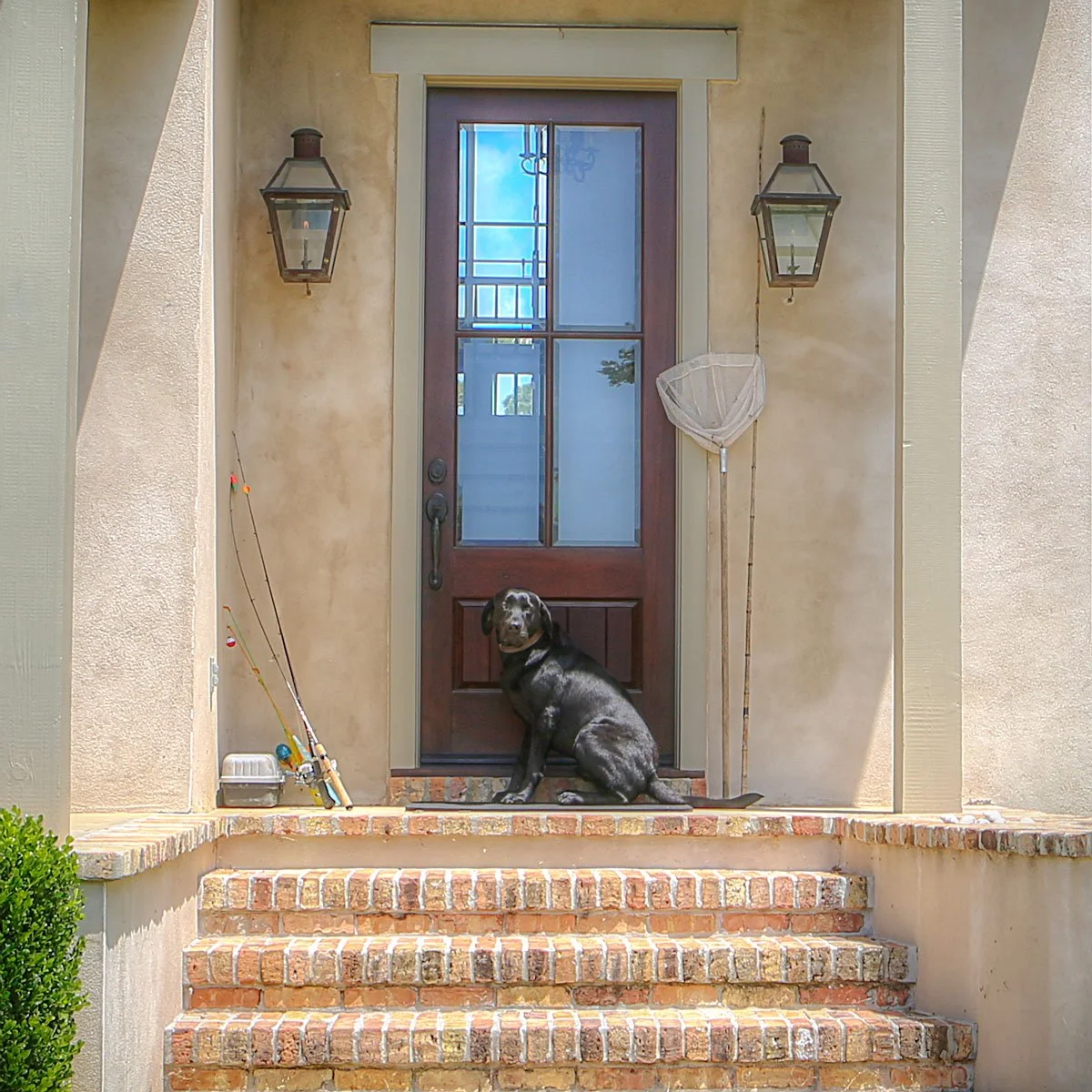9-NellDickerson_PorchDogs.jpg