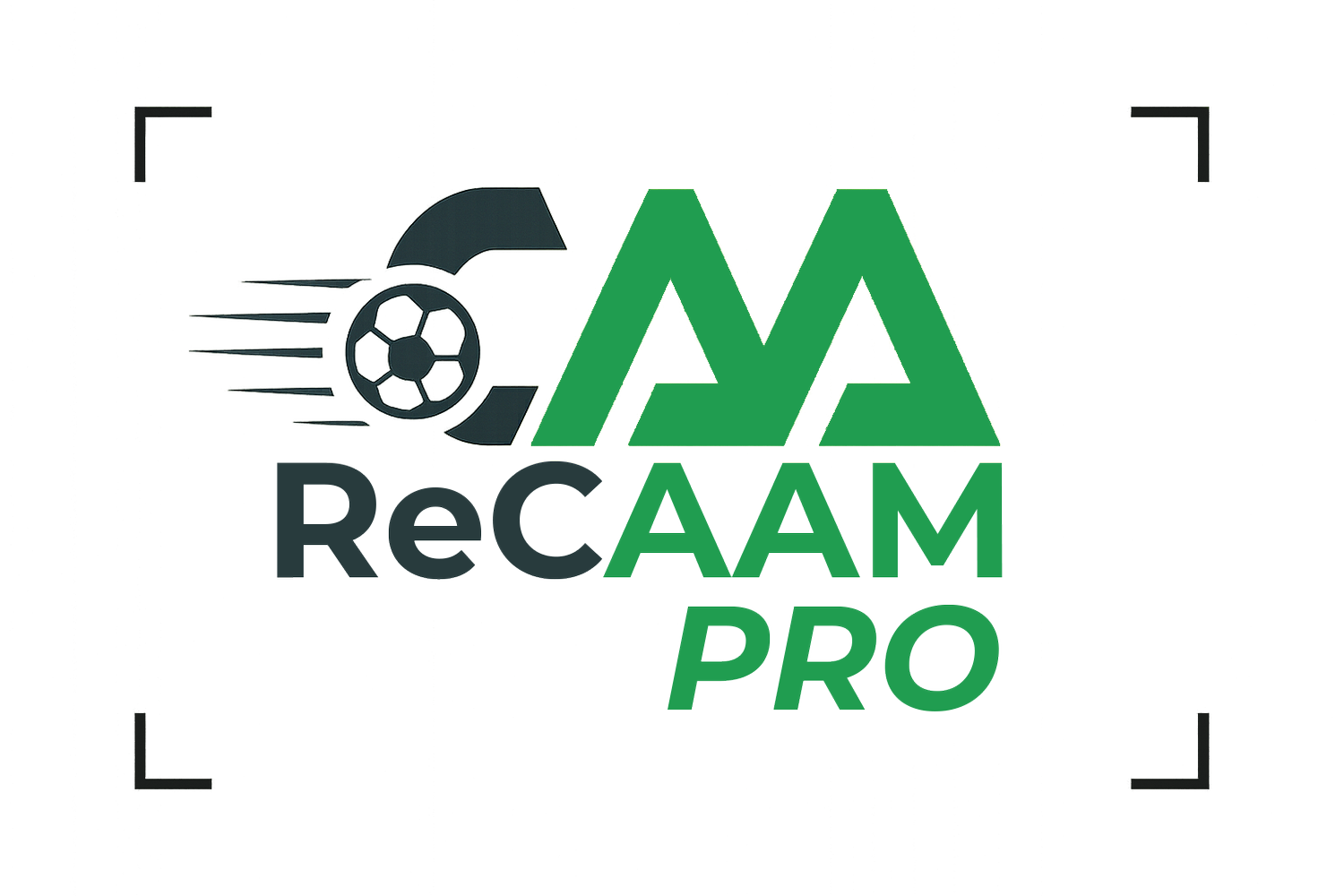 ReCAAMPro