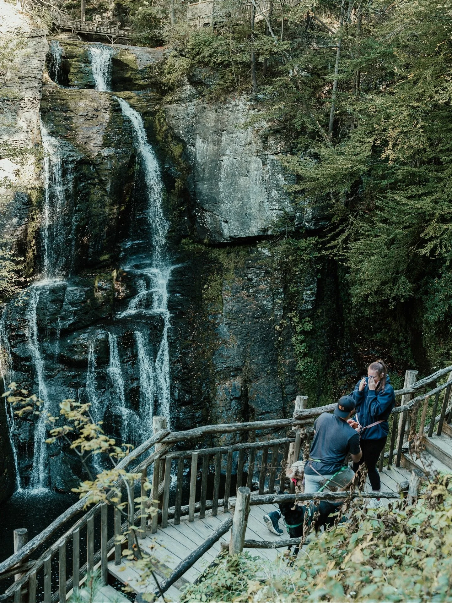 Got to capture one of the sweetest (and coolest) surprise proposals at Bushkill Falls. They are such a genuine couple, and best dog parents ever for including them in their proposal! So grateful to have captured this for them. 🫶🏻

#engagementphotog