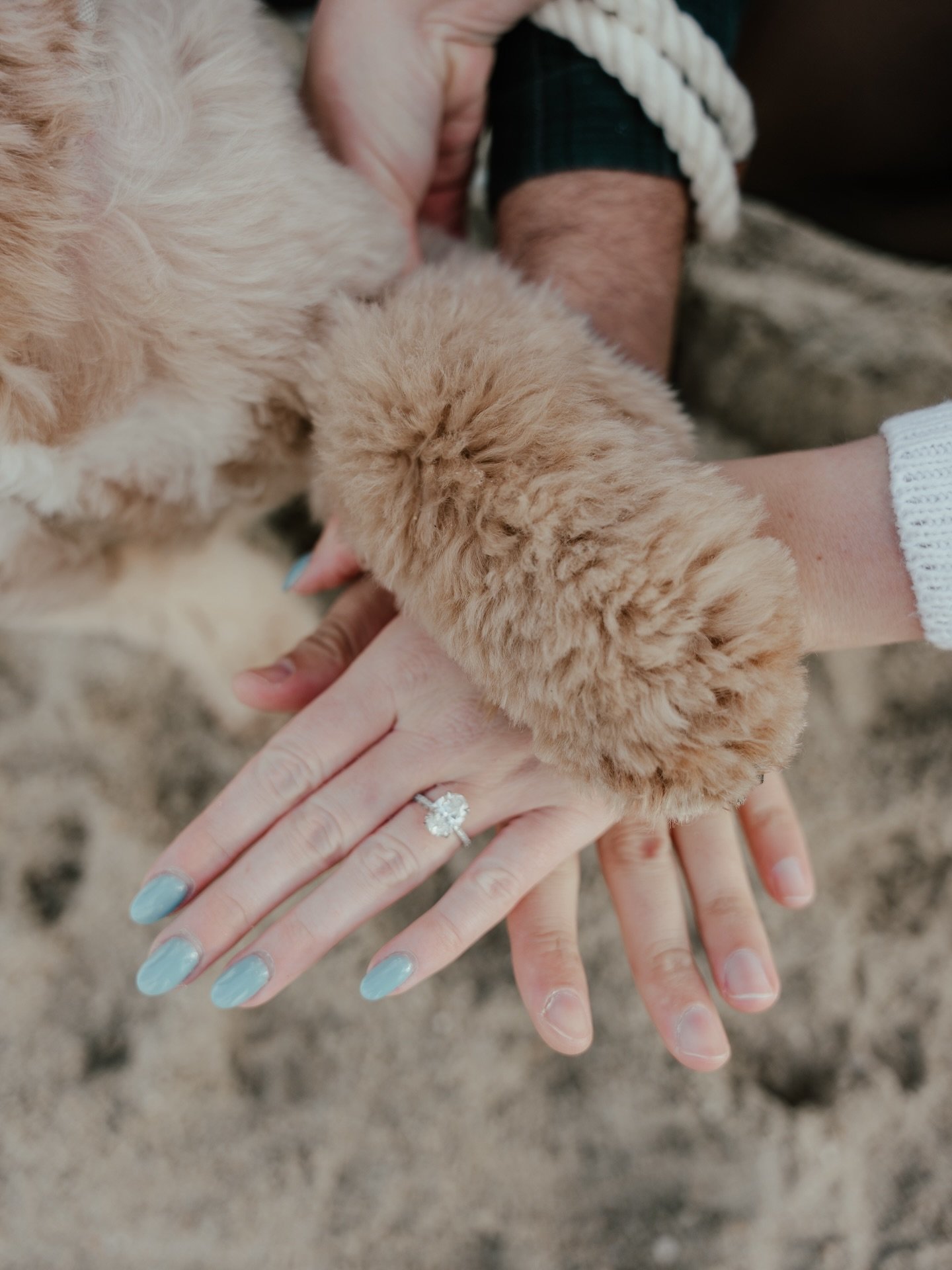 Bringing your dogs to the engagement shoot = the cutest shoot ever. 🫶🏻🐕

#savethedate #weddingphotography #dogsofinstagram