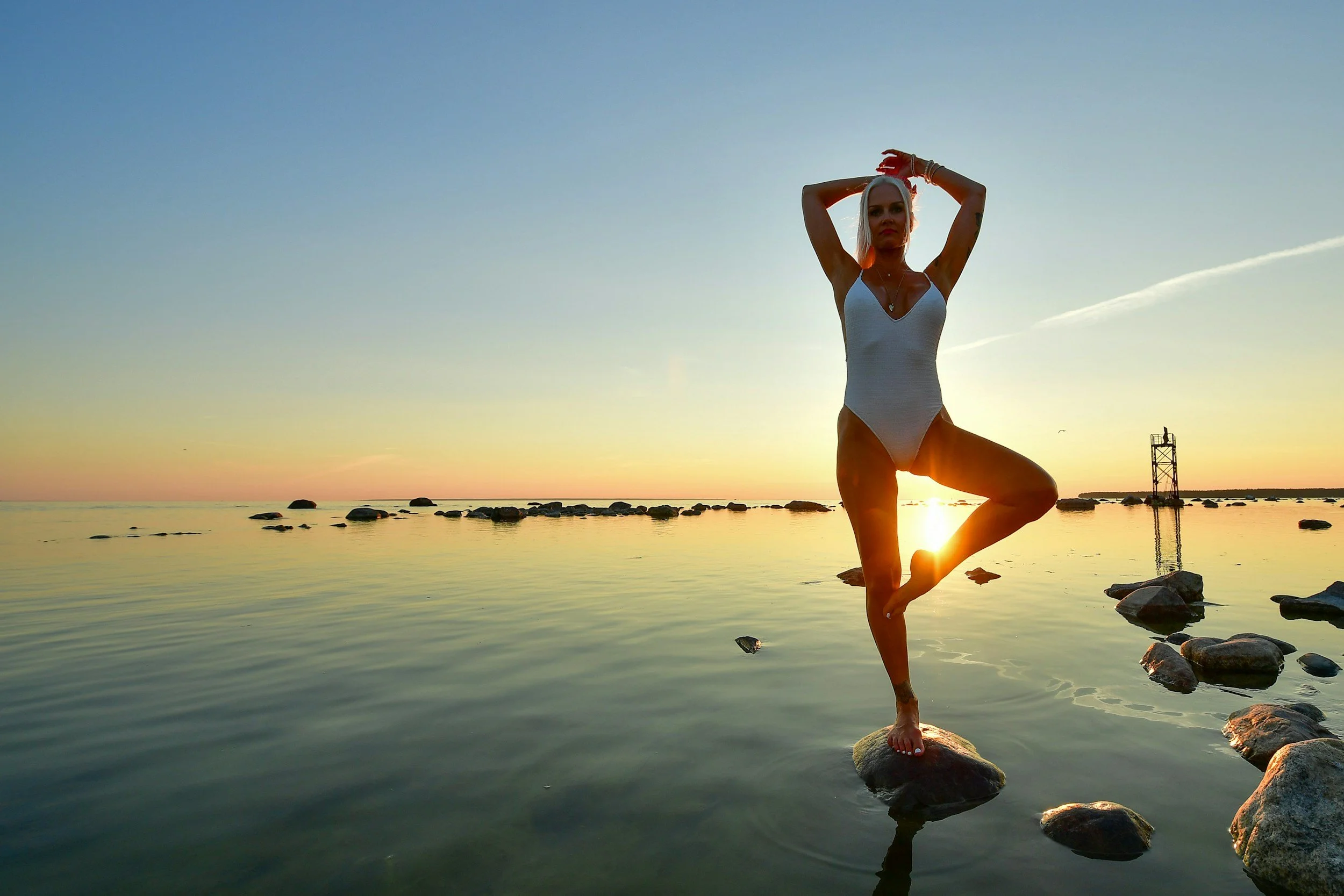 Your Mind IS Your Body
