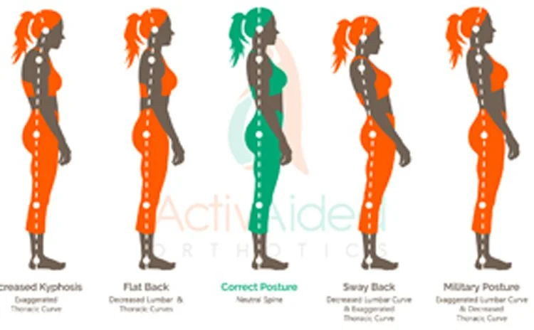 Your Spine, Your Life