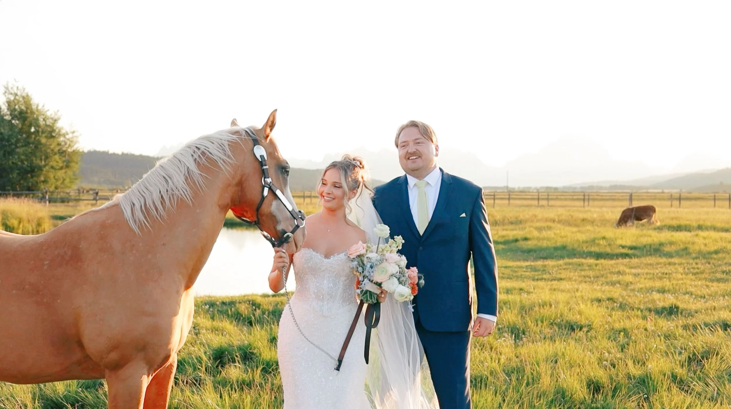 Screenshot 2025-12-27 at 11.56.18 AM copy.jpg