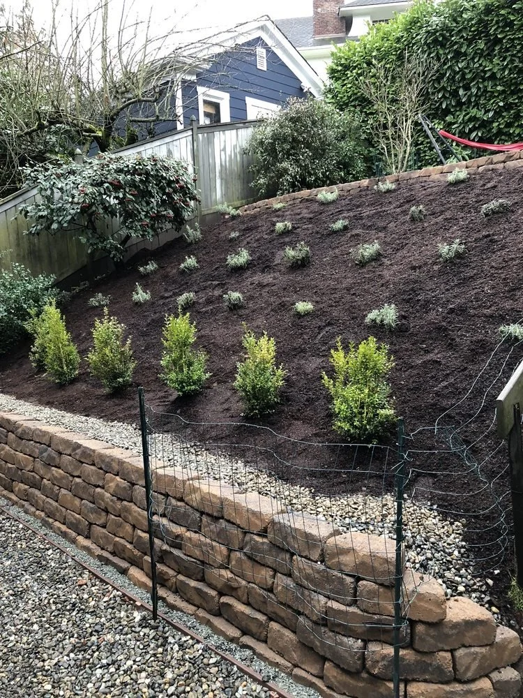A terraced backyard hillside with a stone retaining wall, newly planted shrubs, and bare soil preparing for additional landscaping.