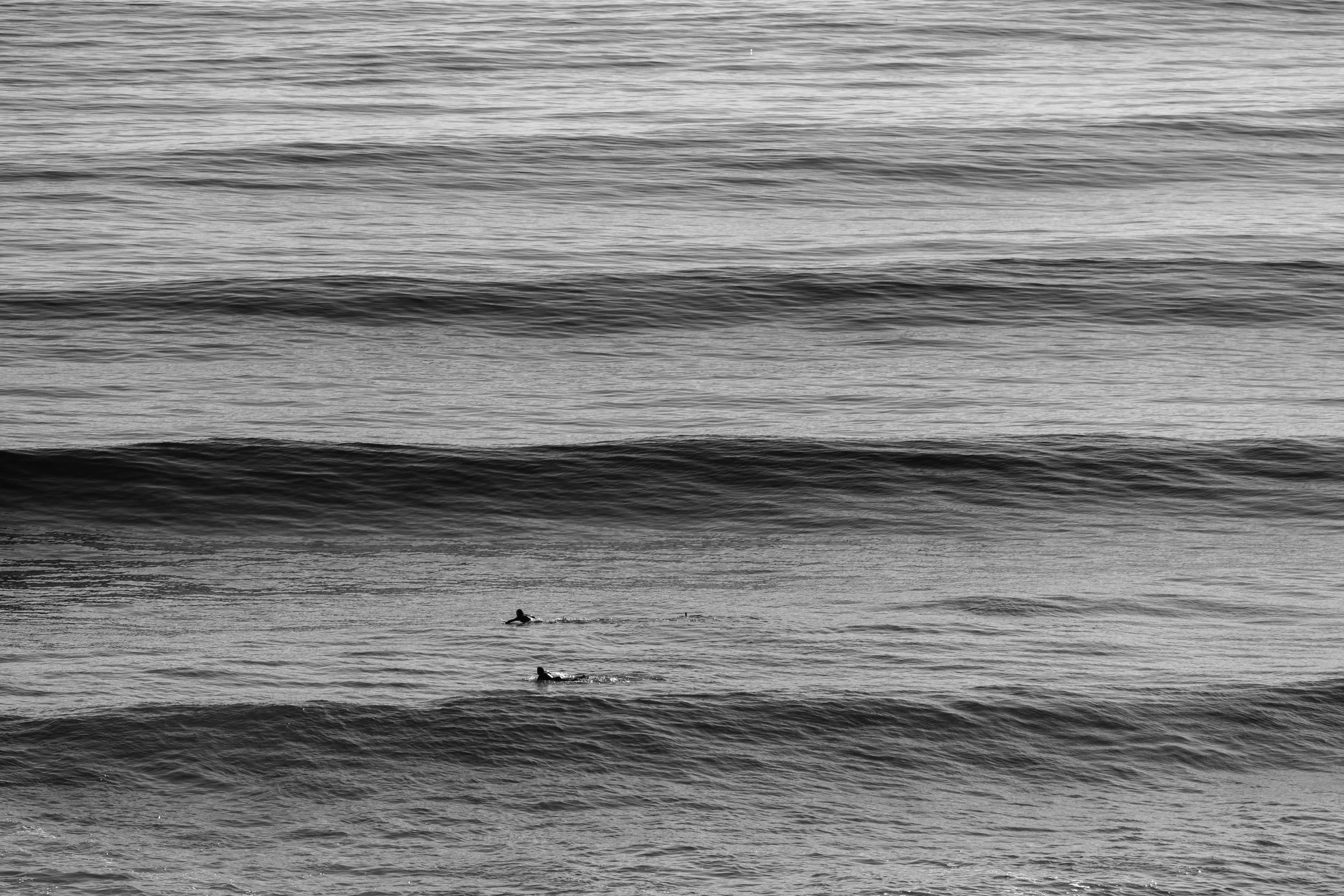 DSCF3911.jpg