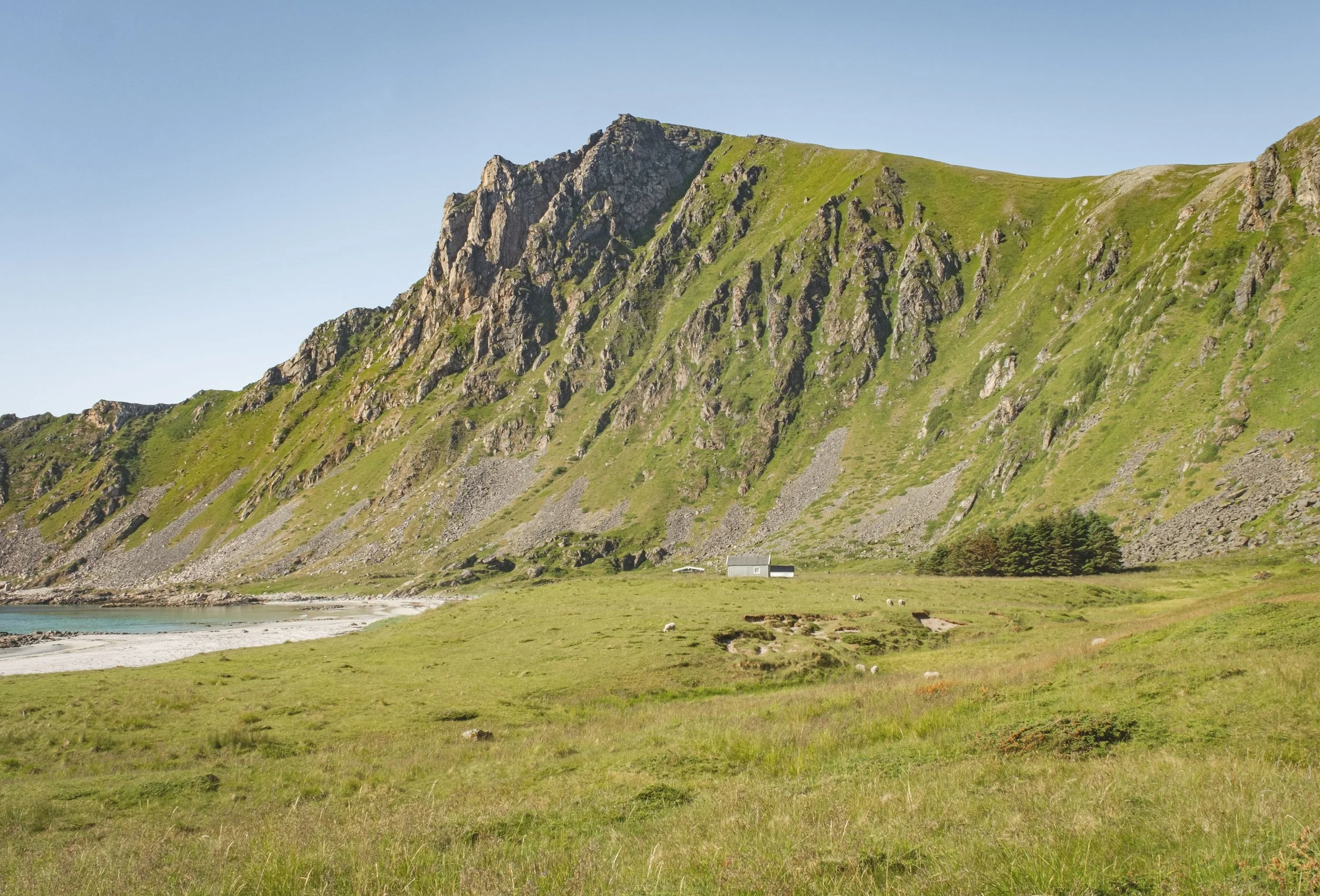 DSCF6362.jpg
