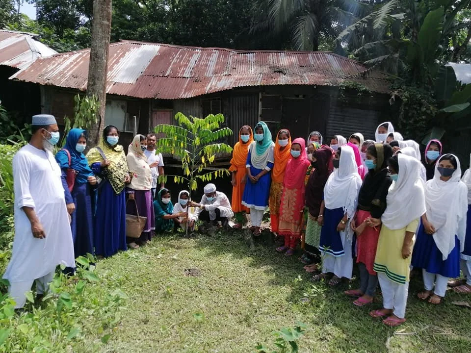 Around a small sapling.
