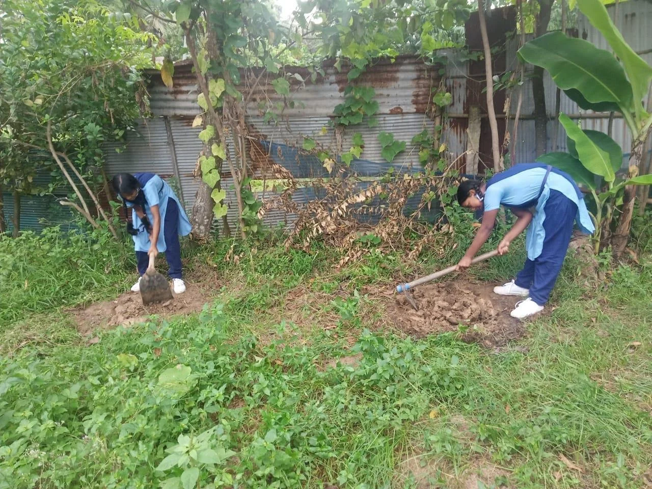 Students planting ecologically sustainable trees.