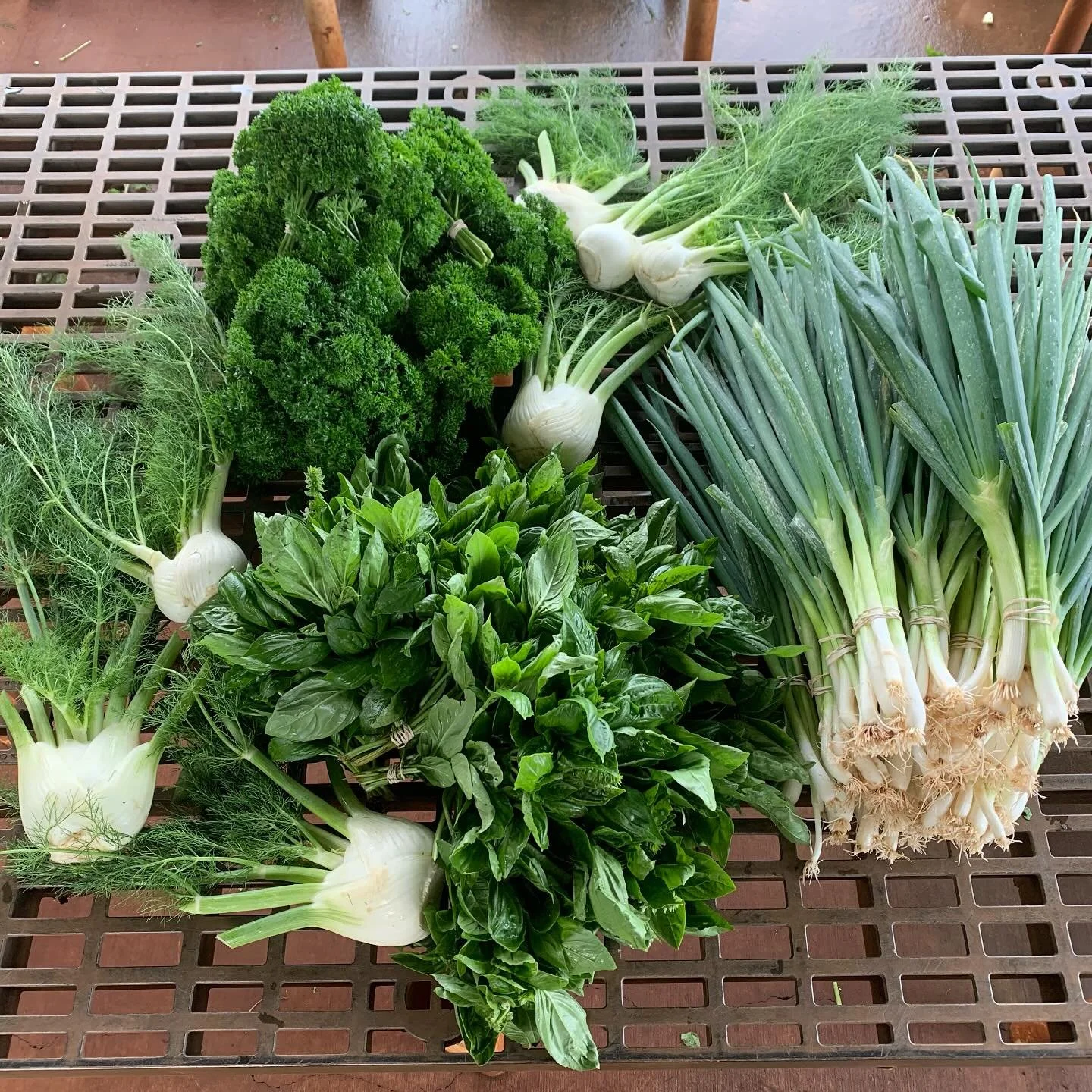 Basil, Parsley, Green onion $3 or 2 for $5 &hellip; Fennel $3/lb @wahiawafoodinnovation 4/19 9am - 1pm