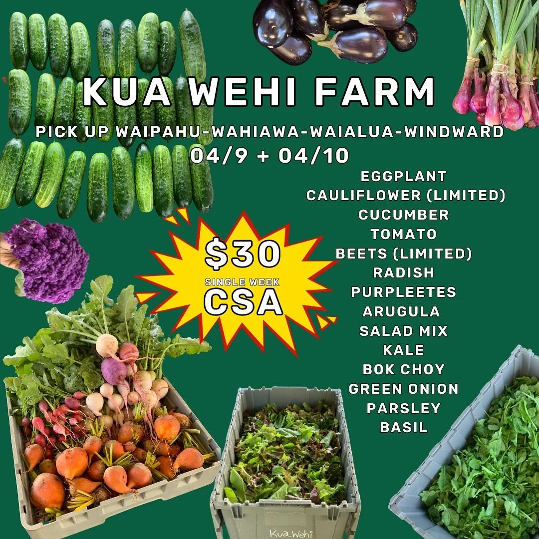 Single week CSA ! It&rsquo;s customizable also (you pick) sign up link in bio !