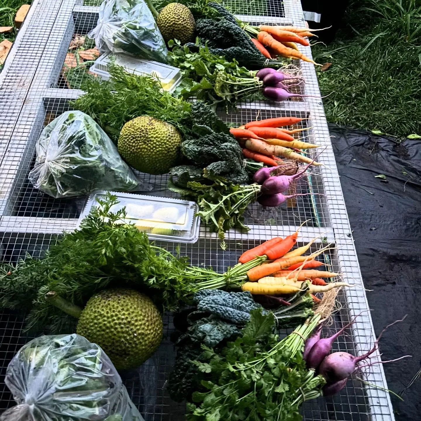 Ulu, 8oz Mixed greens, Carrots, Cilantro, Kale, Daikon, &amp; Jalepeno ! $30 bundle deals available for 4/21 pick up mililani shopping center or Kaneohe windward mall 3-3:30pm