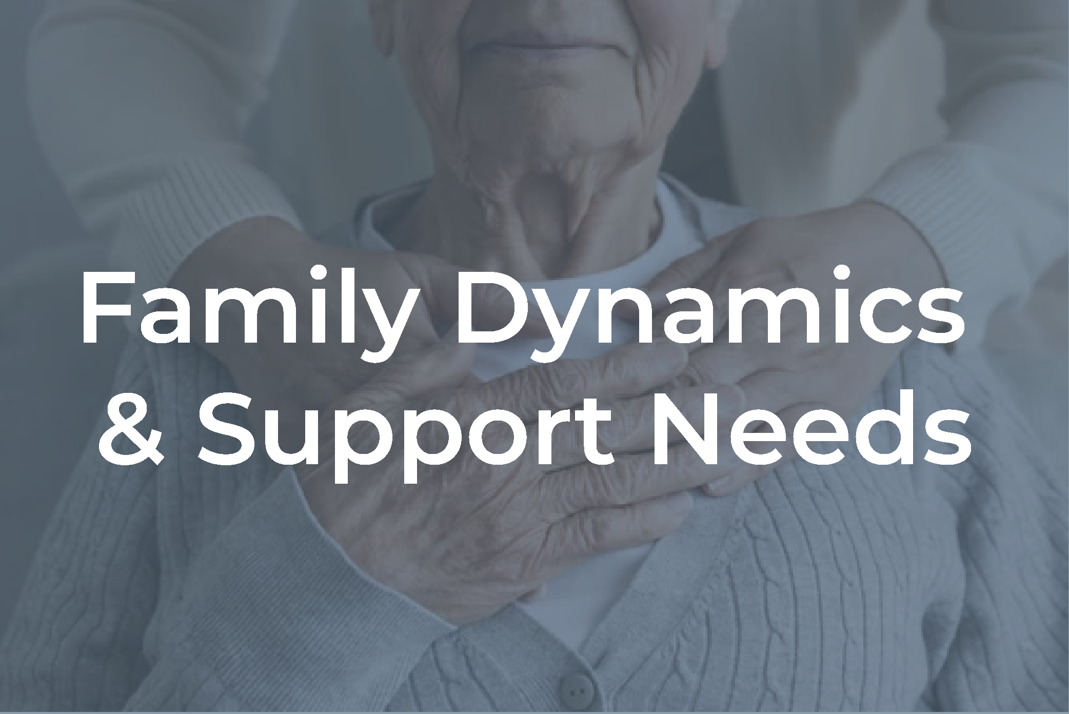 Screenshot+2025-08-16+at+9.45.51 PM_Family Dynamics.png