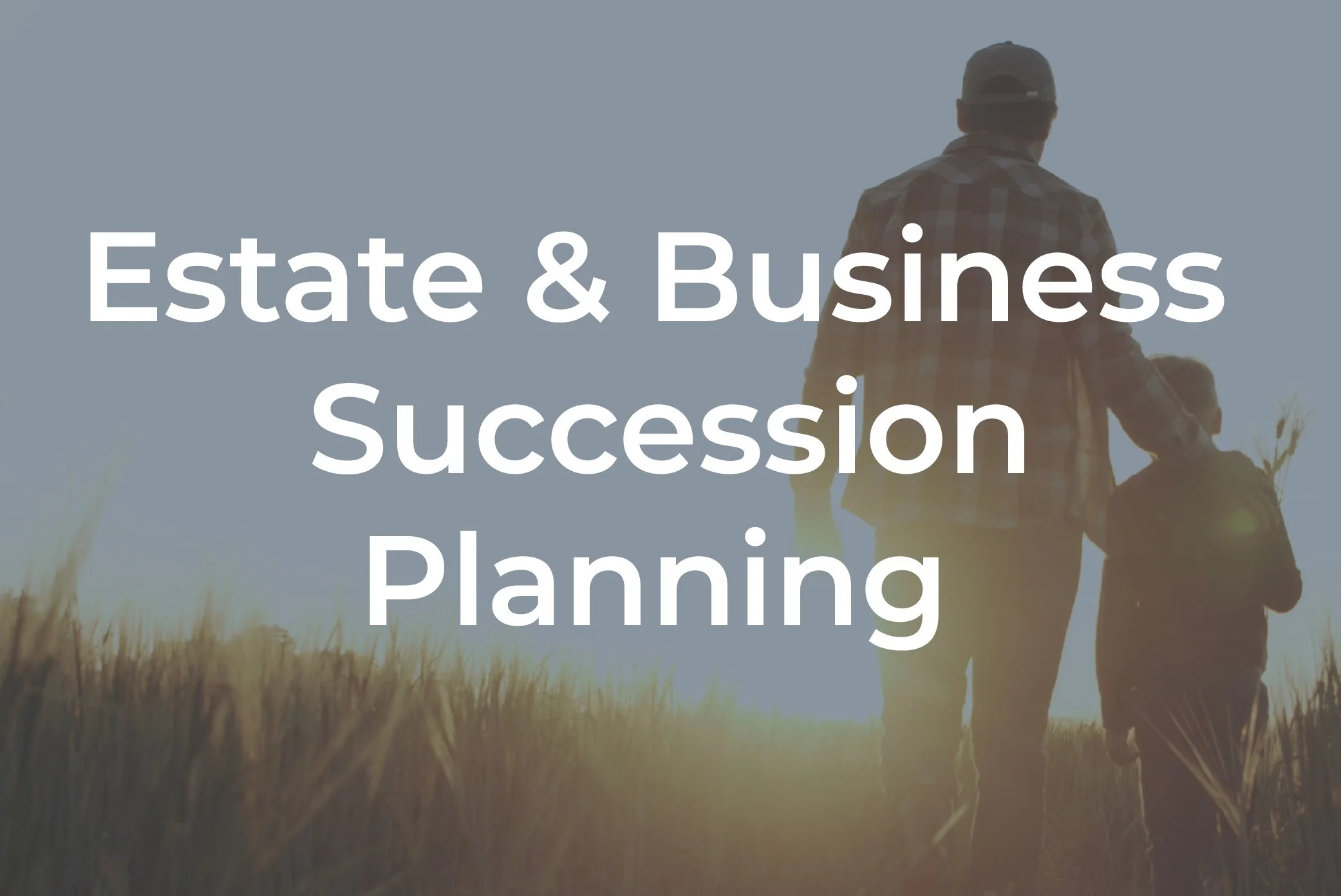 MimiPorch-Pillars_EstateBusinessSuccessionPlanning .jpg