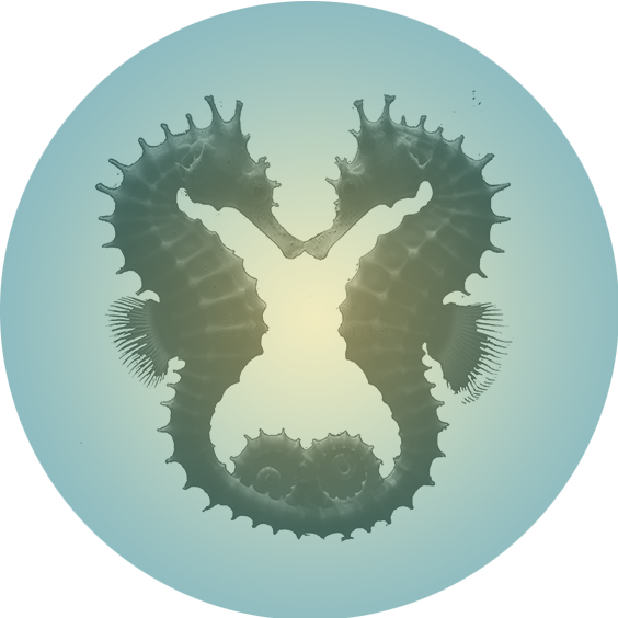 Two Seahorses Kissing