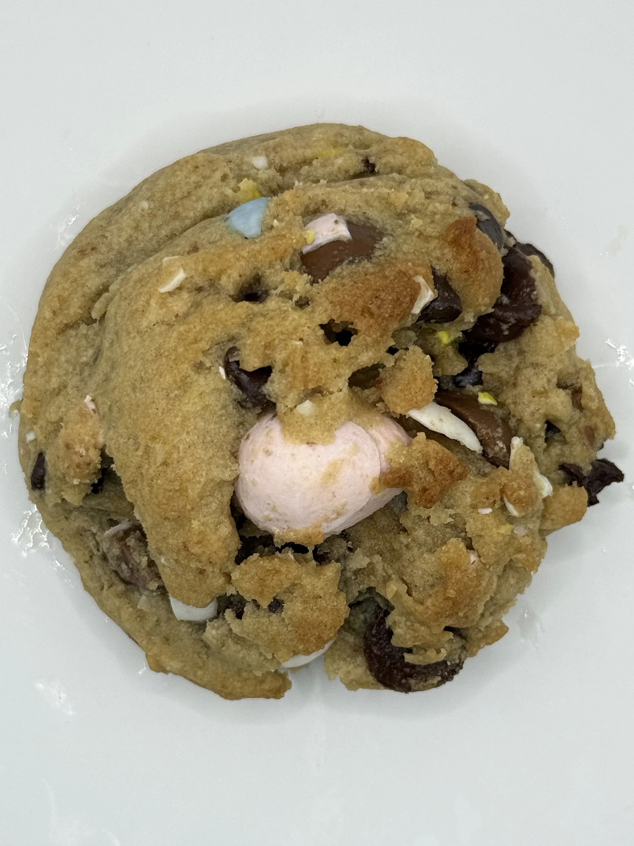 IMG_3004.jpeg (Copy)