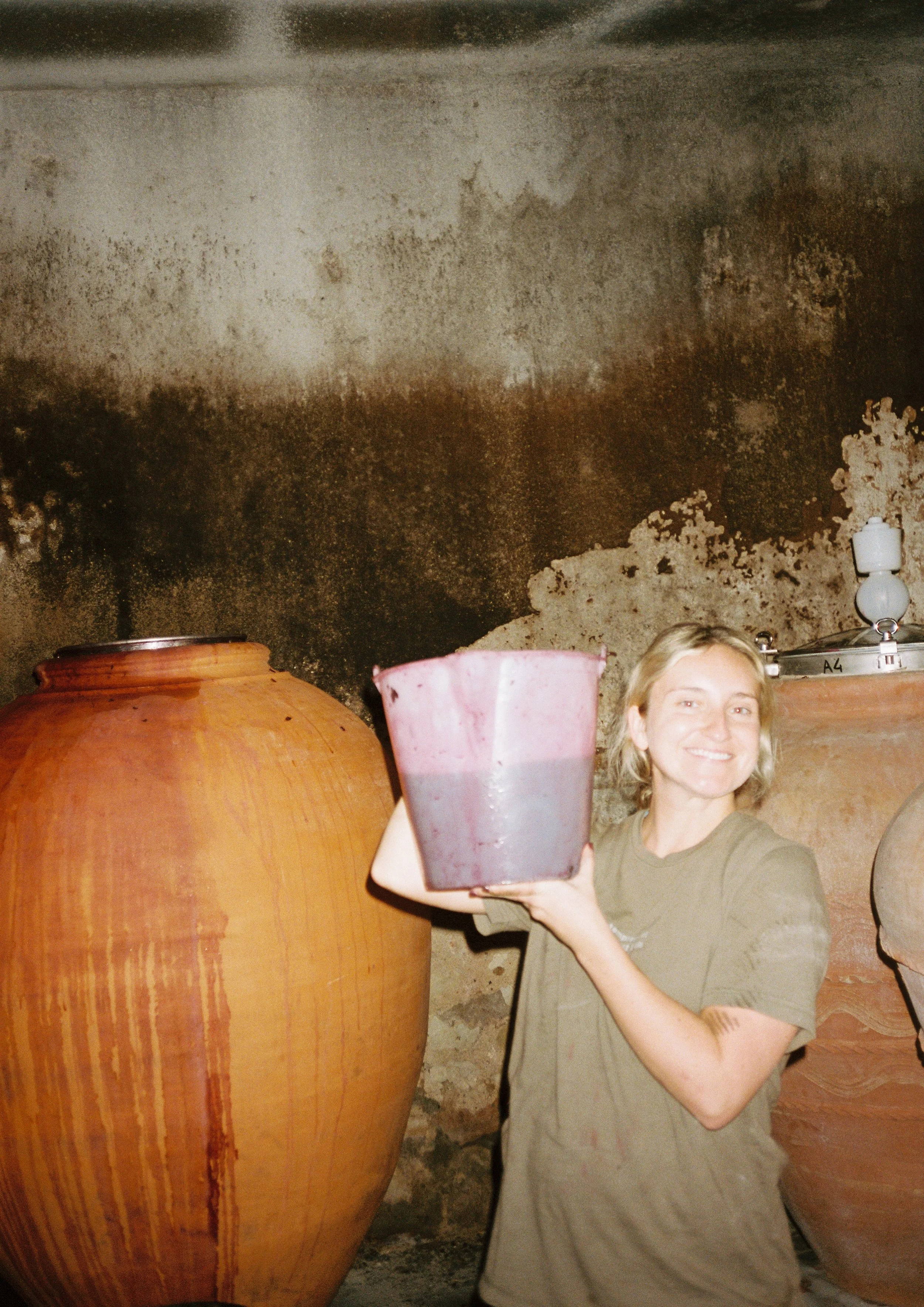 Harvest at Chateau Civrac