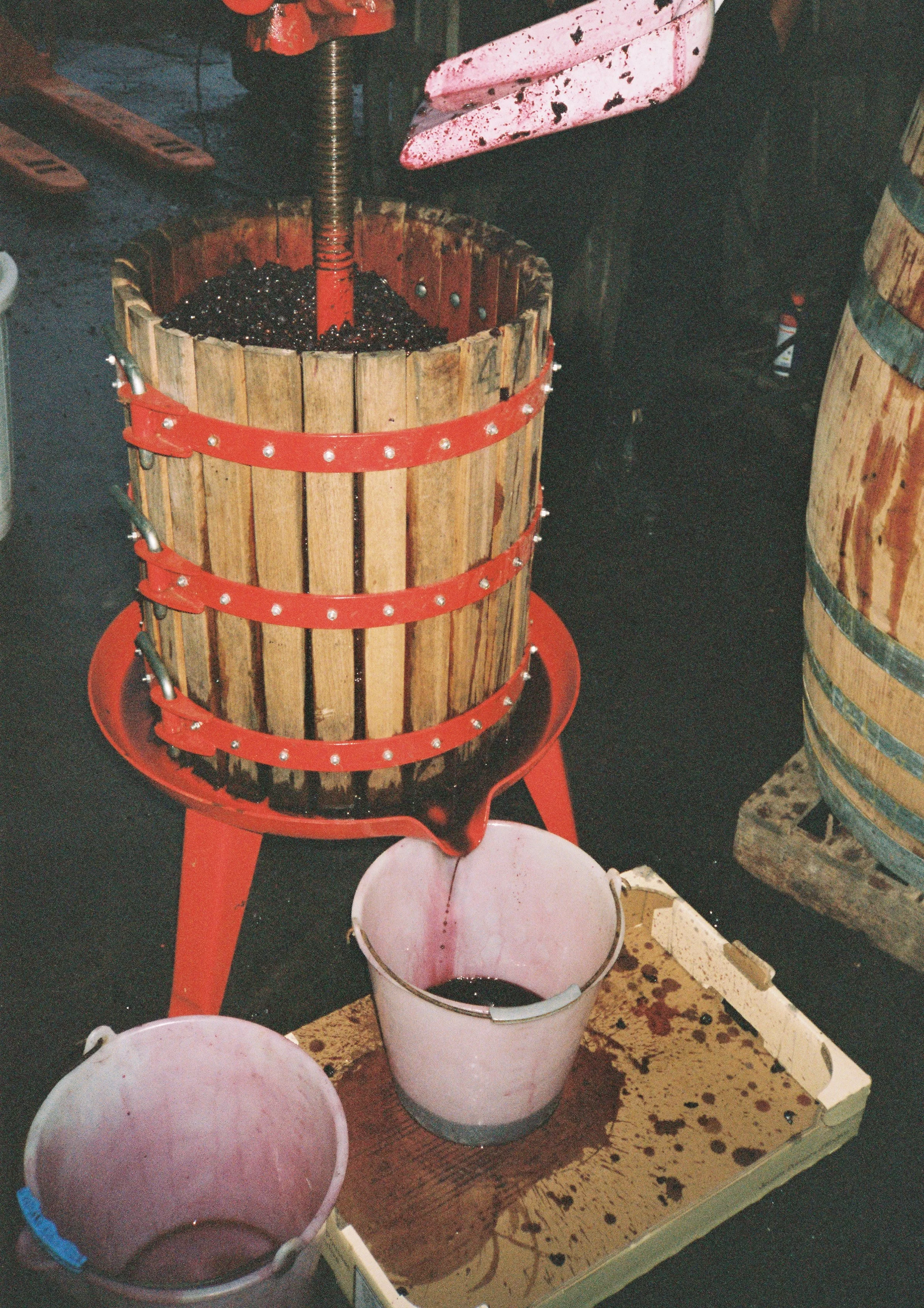 Harvest at Chateau Civrac