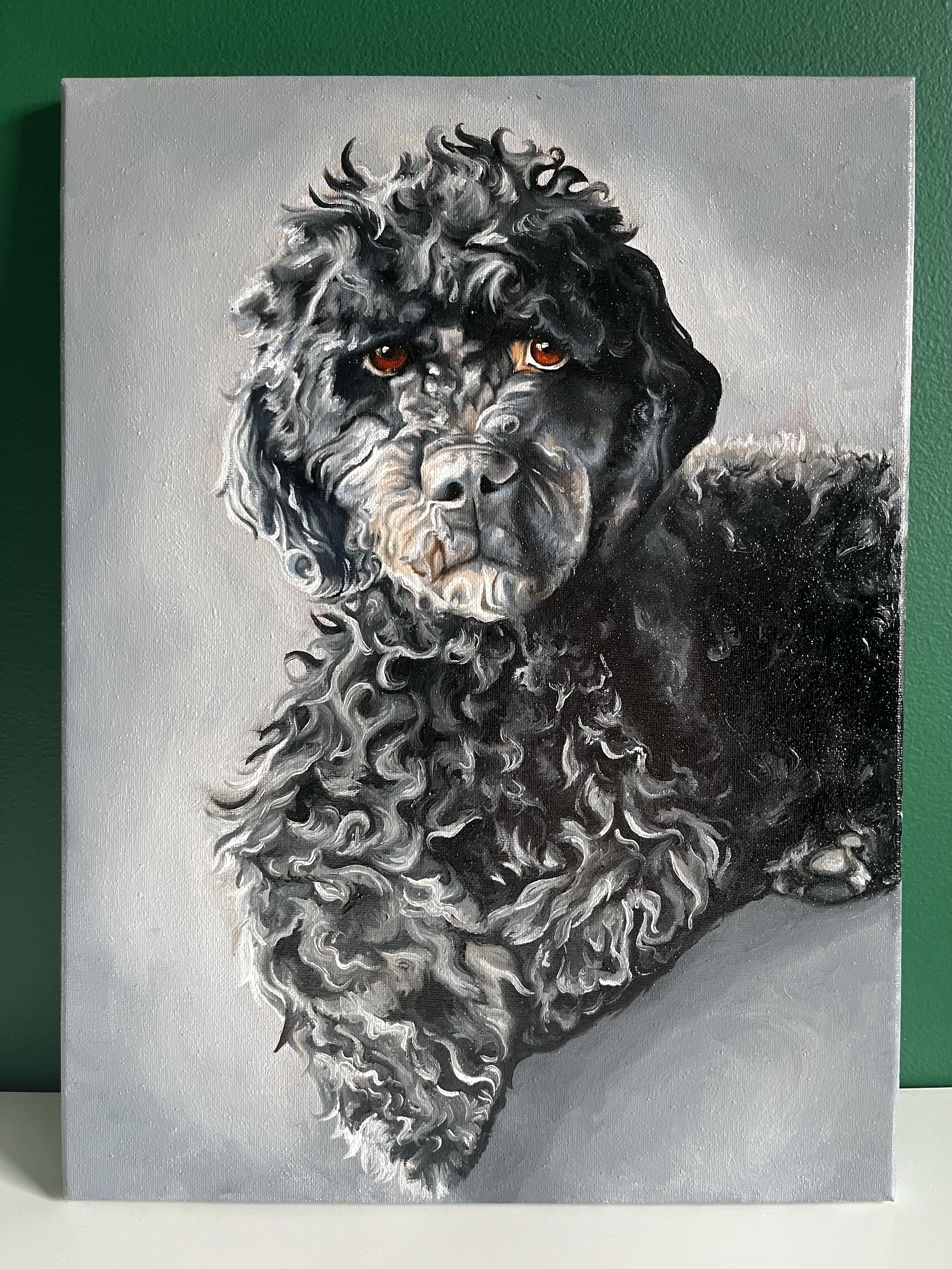 Charm - Oil on canvas 12" x 16": Pet Portrait (2024)