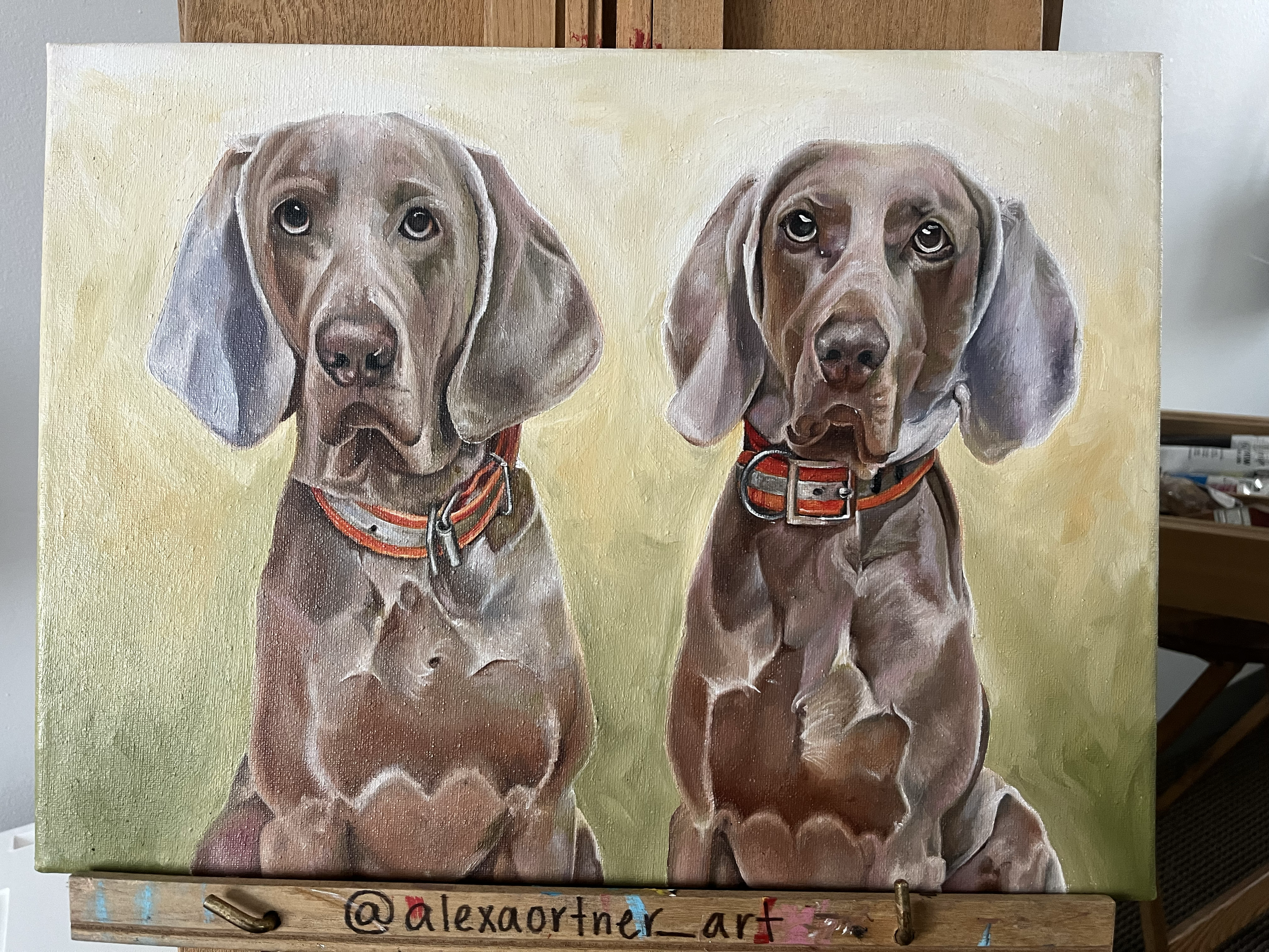 Weimaraners - Oil on canvas 12" x 16": Pet Portrait (2022)